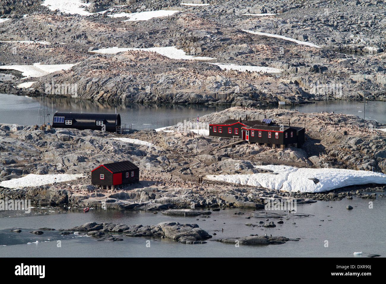 Penguin Bureau de poste, Port Lockroy, sur la péninsule Antarctique, l'Antarctique s'y arrêtent souvent pour les touristes en tourisme de croisière. Banque D'Images