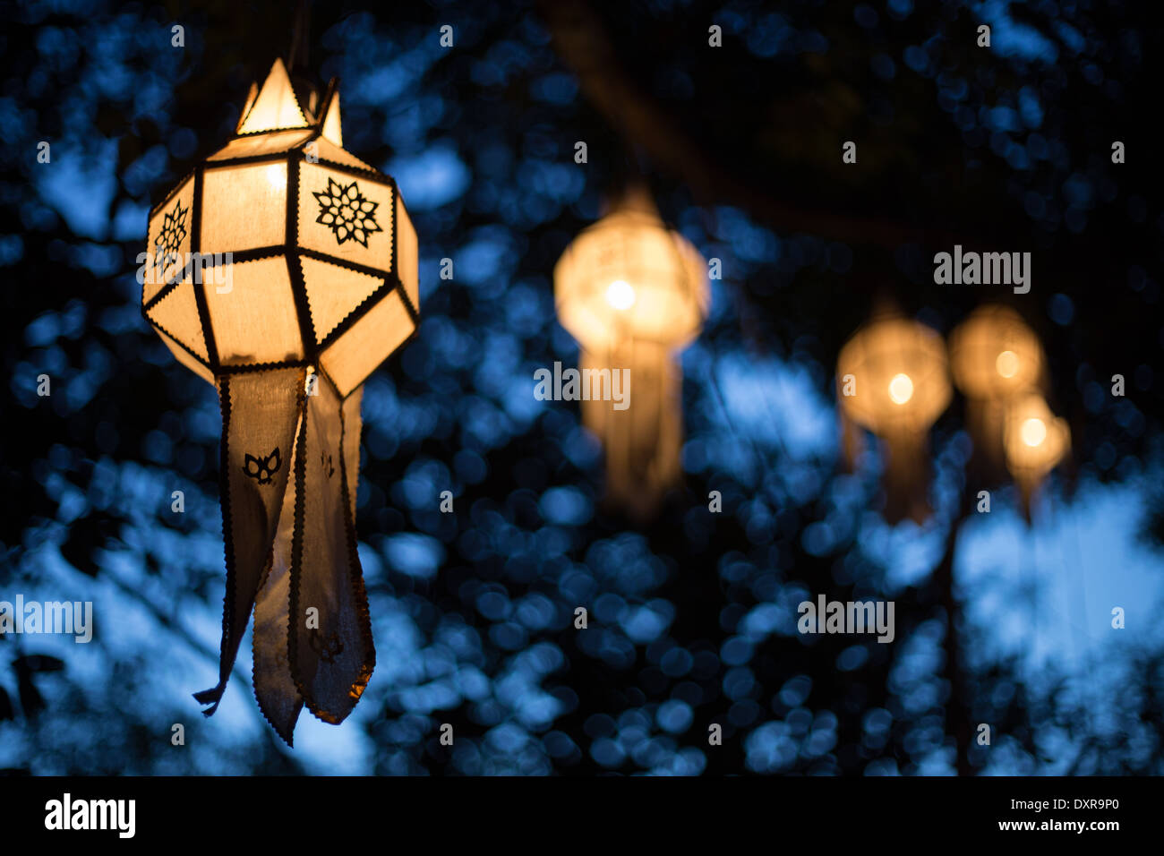 Des lanternes en papier accroché sur un arbre au crépuscule au cours de Loy Krathong dans Chiang Mai, Thaïlande. Banque D'Images