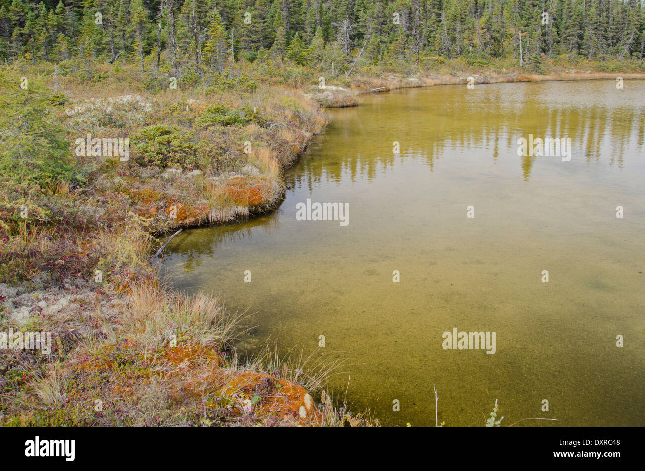 Canada, Québec, Havre St-Pierre, Parc National de l'archipel de Mingan, lle Quarry (Île Quarry). Banque D'Images