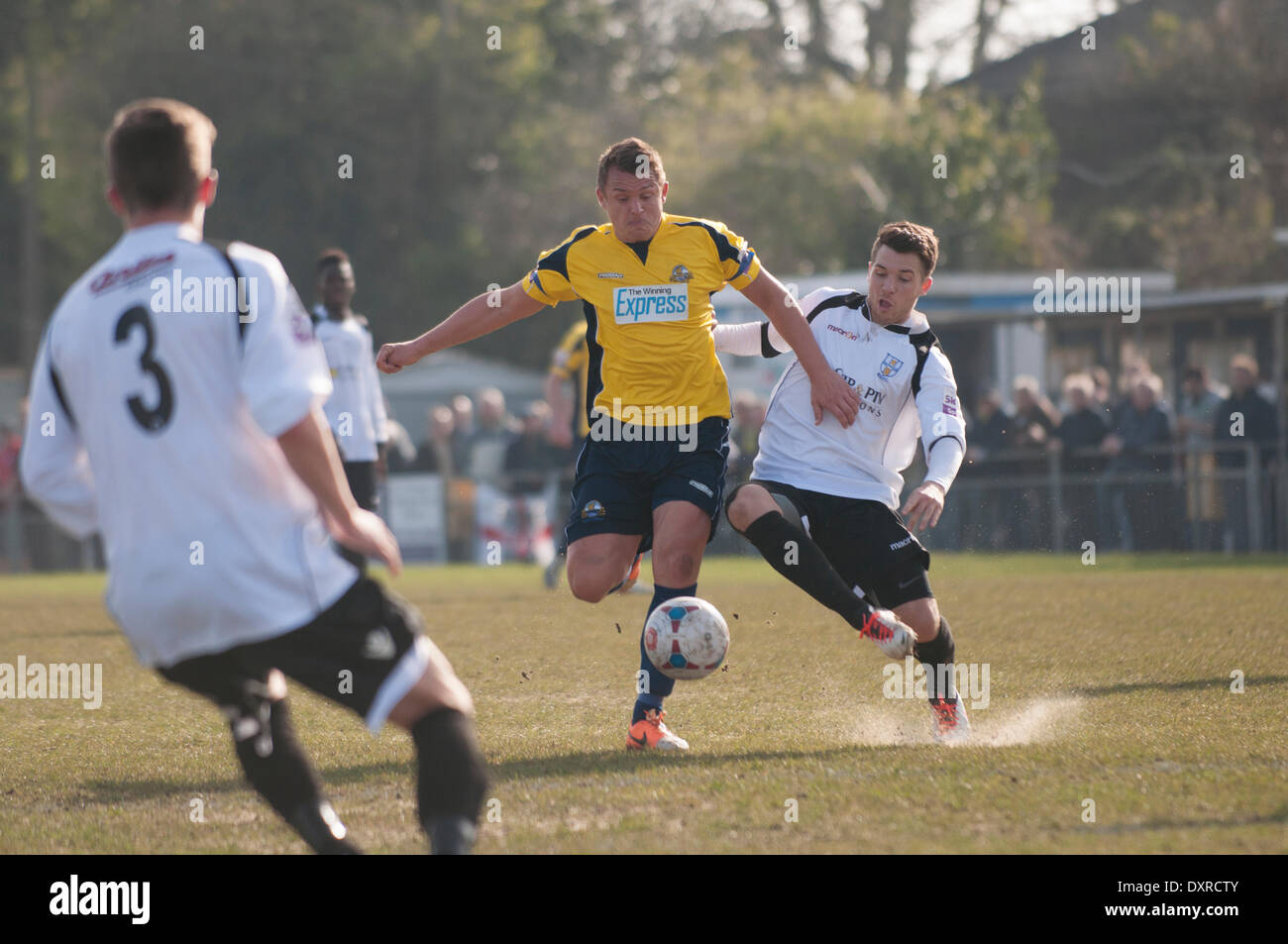 Smith de Gosport brise milieu de mettre en place une attaque, Gosport Borough v FC FC Storford évêques, SKRILL Division du Sud, le 29 mars 2014. (C) Paul Gordon | Alamy Live News Banque D'Images