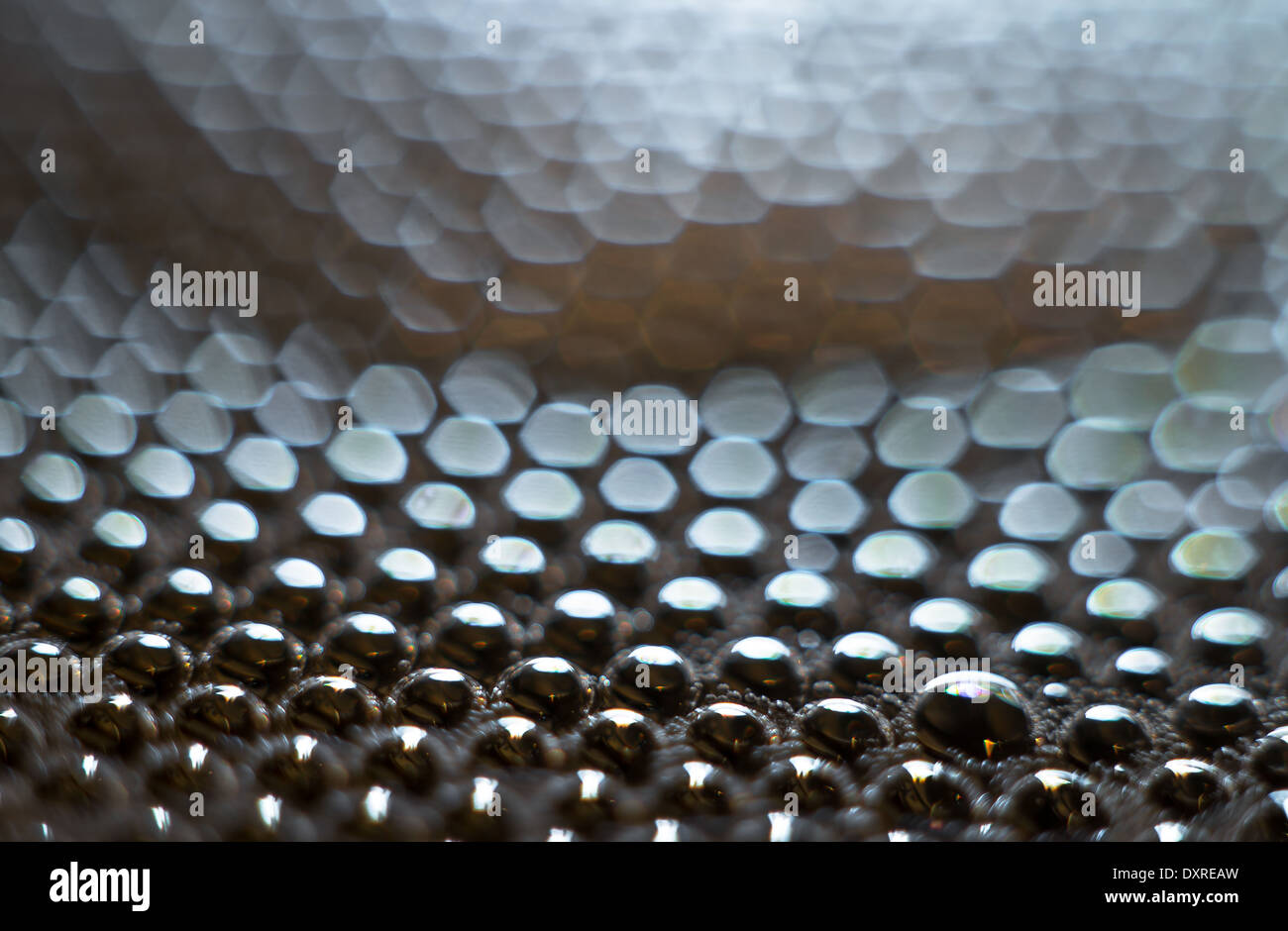 Plan Macro sur des bulles de savon Banque D'Images