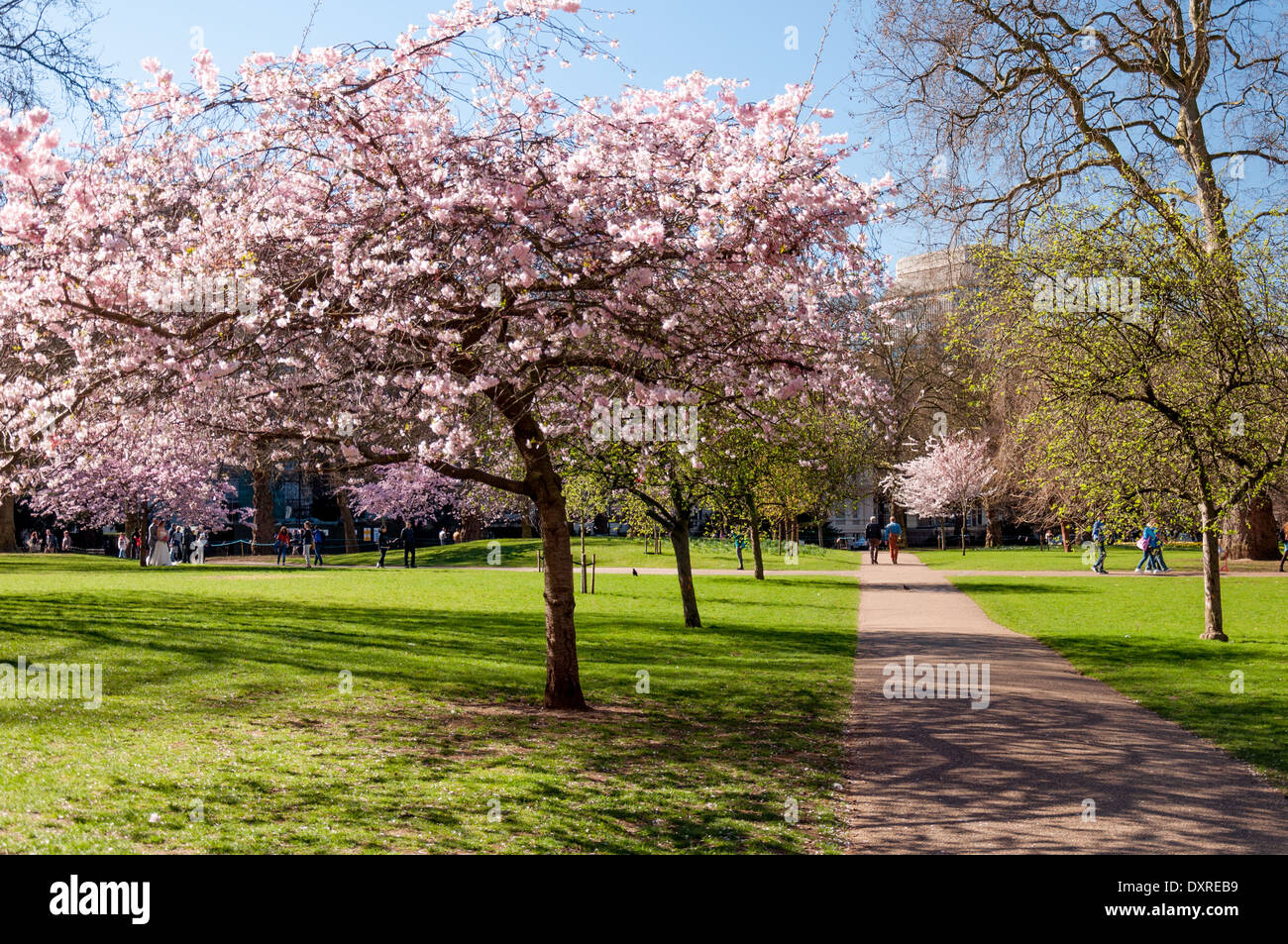 Vues autour de St James' Park londres sur une journée ensoleillée au printemps Banque D'Images