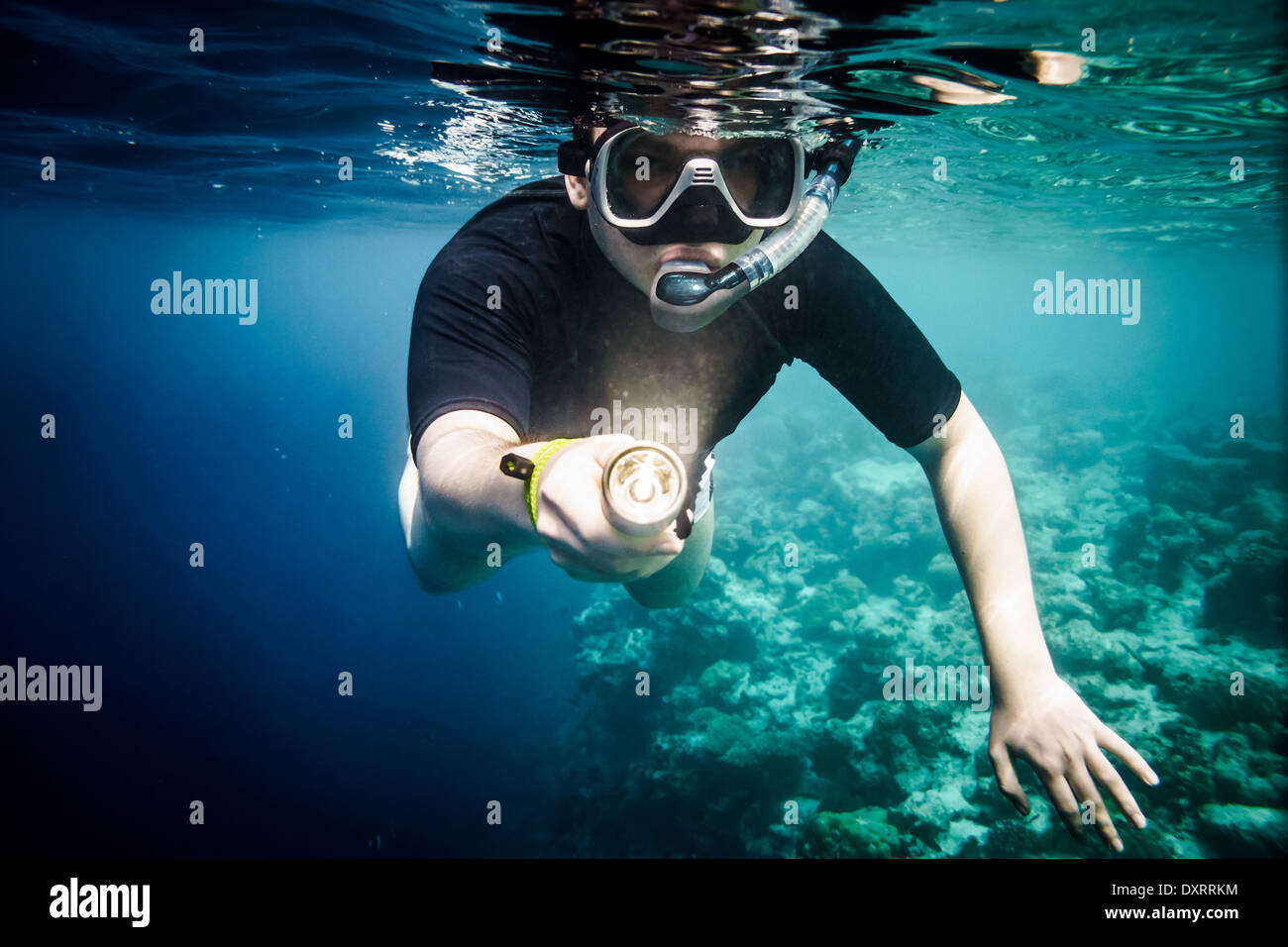 Lampe de poche sous marine Banque de photographies et d'images à haute  résolution - Alamy