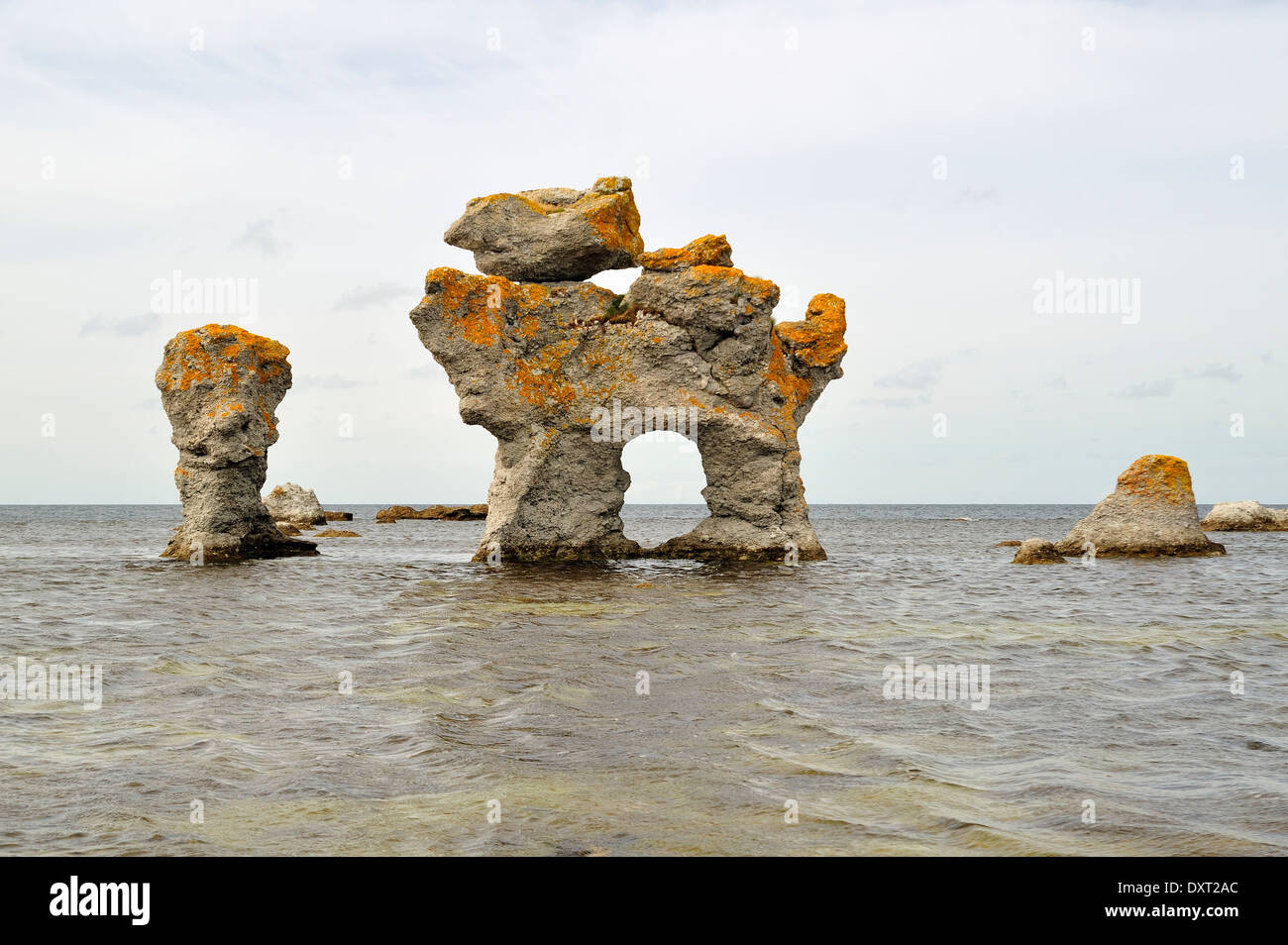 Formations calcaires sur Gotland Banque D'Images
