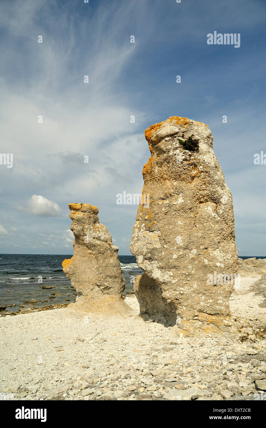 Formations calcaires sur Gotland Banque D'Images