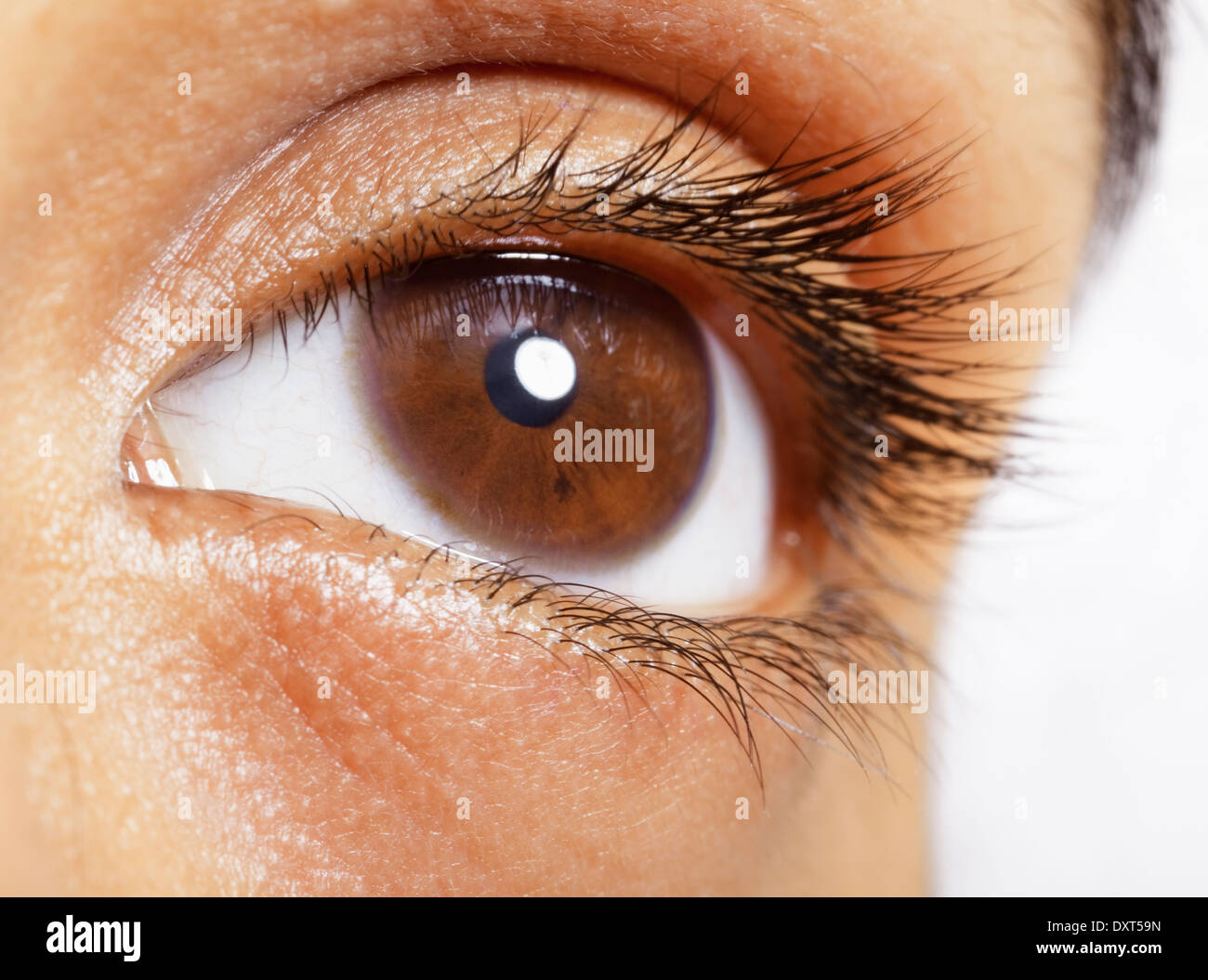 Extreme close up of brown eye Banque D'Images