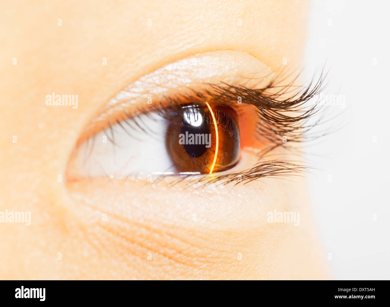 Extreme close up de numérisation laser brown eye Banque D'Images