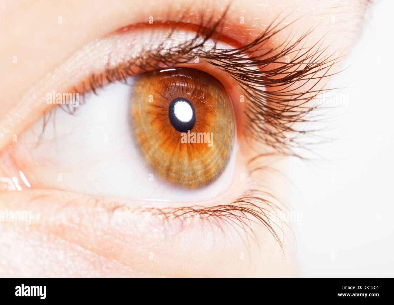 Extreme close up of hazel eye Banque D'Images