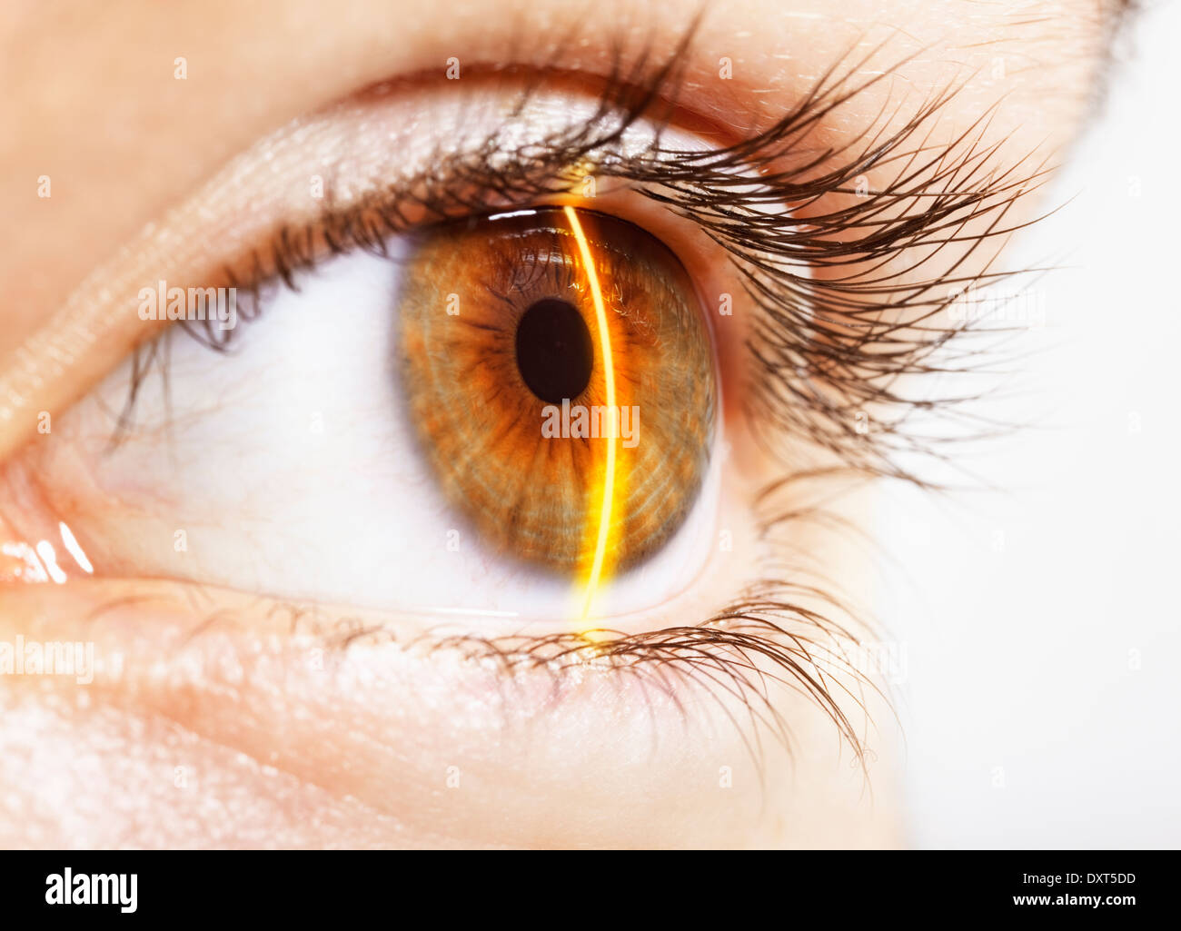 Extreme close up de balayage laser des yeux noisette Banque D'Images