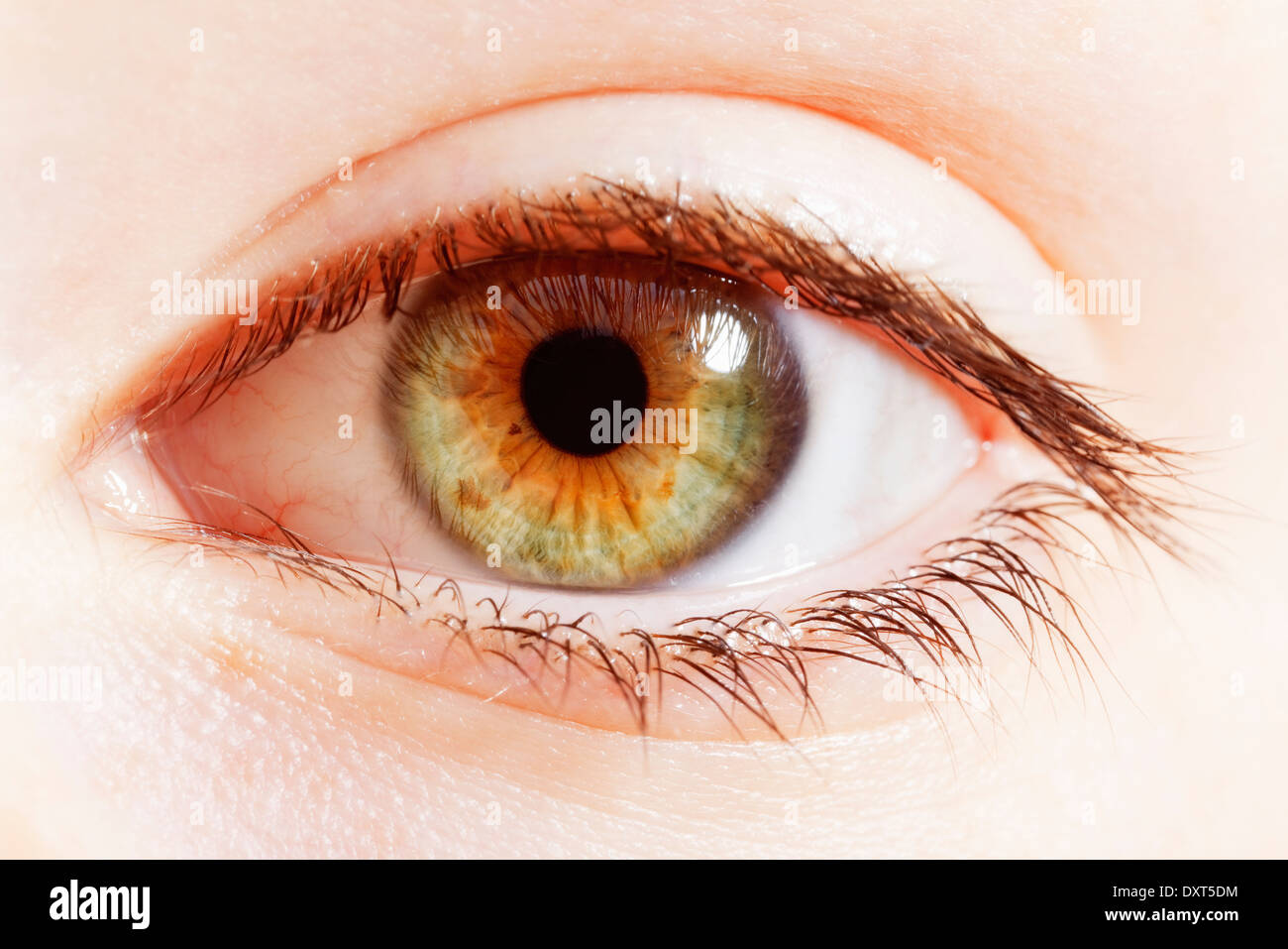 Extreme close up of hazel eye Banque D'Images