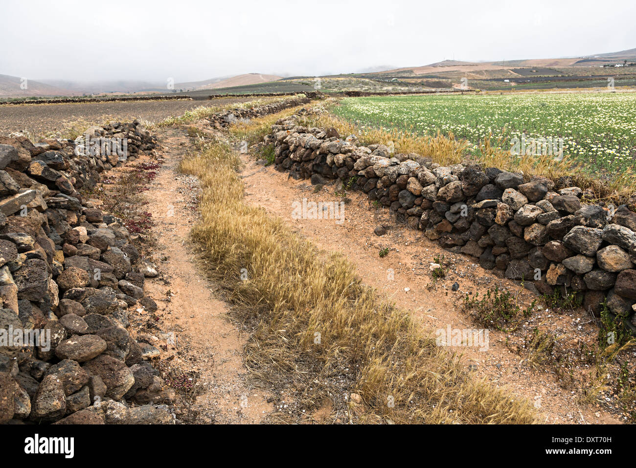 Ancien tracé avec des murs faits de pierre ponce, El Mojon, Lanzarote, îles Canaries, Espagne Banque D'Images