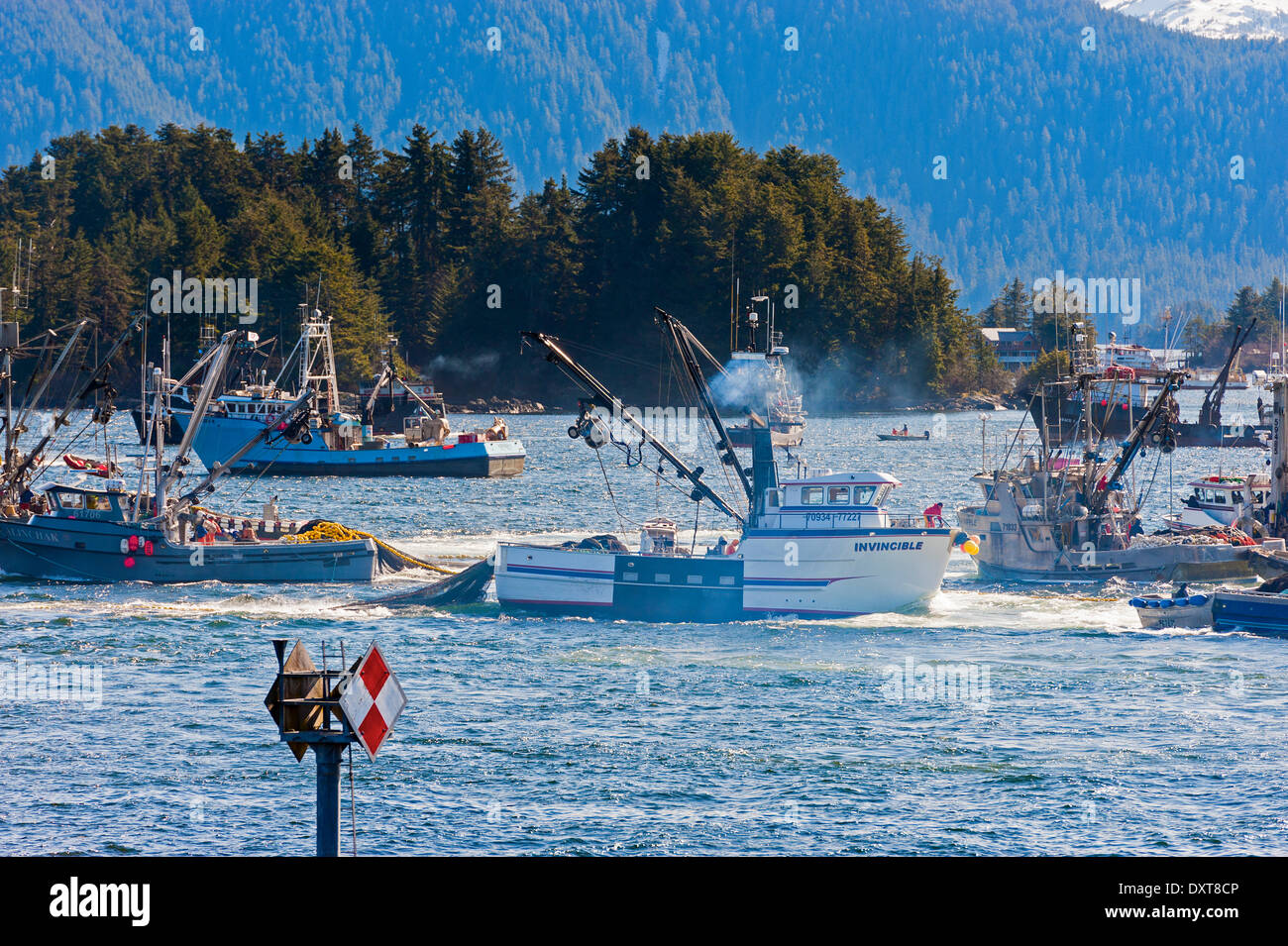 Sitka, Alaska. 29 mars 2014 Sitka, en Alaska. 29 mars 2014 La flotte de pêche commerciale à se bousculer pour lors d'une ouverture de la pêche au hareng rogué sac dans la baie Sitka. Crédit : Jeffrey Wickett - RF/Alamy Live News Banque D'Images