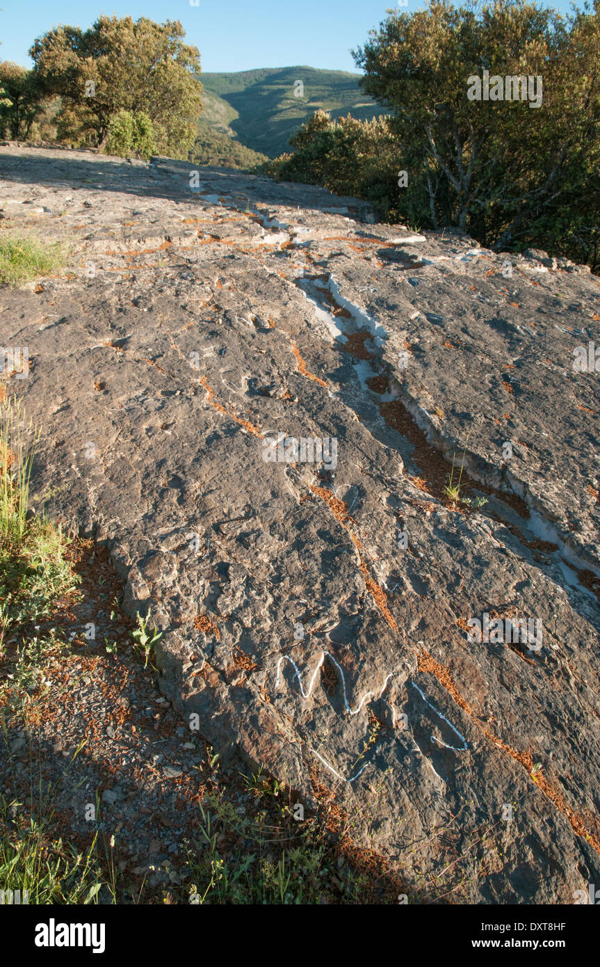 Empreintes de dinosaures (ou ichnites) d'Ornithopod dans un rocher plat, anciennement au fond d'un lagon intérieur sur le site fossile de Senoba, en Espagne. Banque D'Images