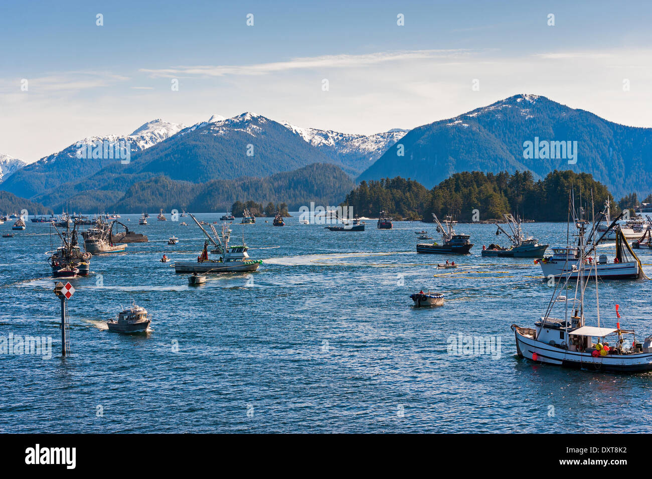 Sitka, Alaska. 29 mars 2014 Sitka, en Alaska. 29 mars 2014 La flotte de pêche commerciale à se bousculer pour lors d'une ouverture de la pêche au hareng rogué sac dans la baie Sitka. Crédit : Jeffrey Wickett - RF/Alamy Live News Banque D'Images