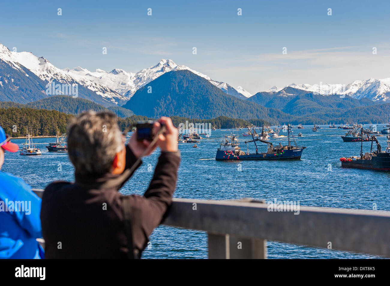 Sitka, Alaska. 29 mars 2014 Photographe à prendre des photos de la flotte de pêche commerciale à se bousculer pour pendant un sac du hareng rogué ouverture. Crédit : Jeffrey Wickett - RF/Alamy Live News Banque D'Images