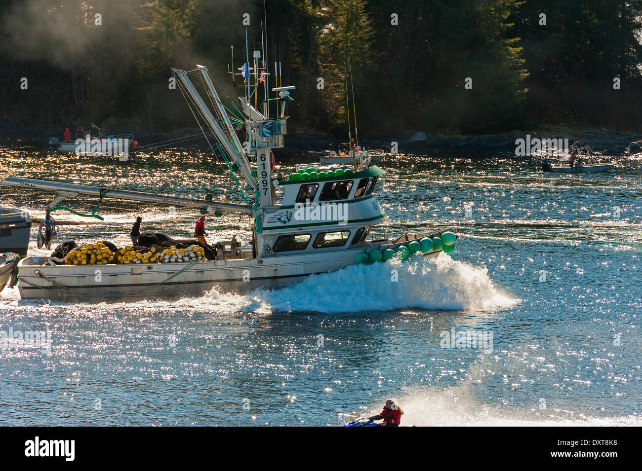 Sitka, Alaska. 29 mars 2014 Sitka, en Alaska. 29 mars 2014 La flotte de pêche commerciale à se bousculer pour lors d'une ouverture de la pêche au hareng rogué sac dans la baie Sitka. Crédit : Jeffrey Wickett - RF/Alamy Live News Banque D'Images
