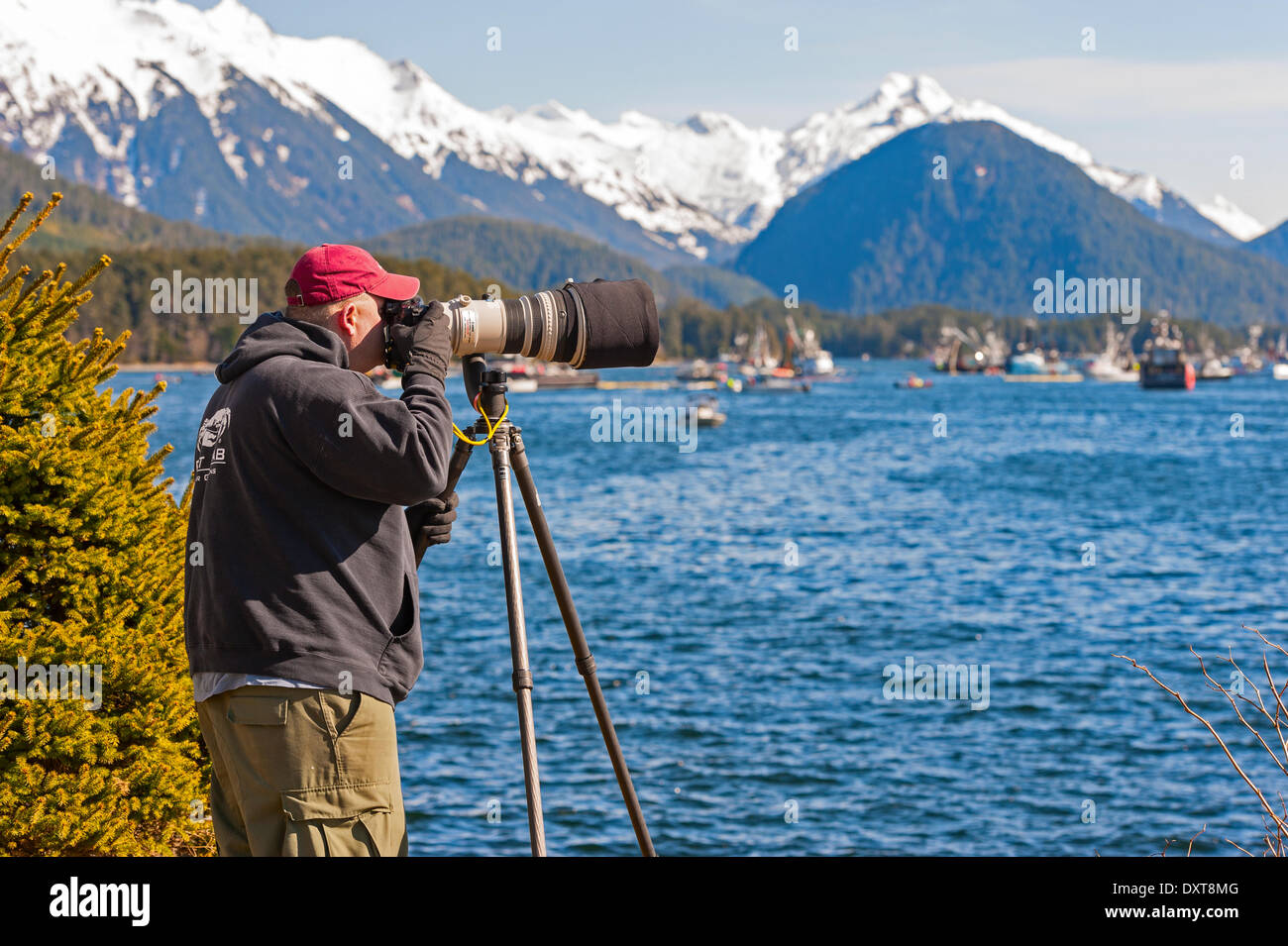 Sitka, Alaska. 29 mars 2014 Photographe à prendre des photos de la flotte de pêche commerciale à se bousculer pour pendant un sac du hareng rogué ouverture. Crédit : Jeffrey Wickett - RF/Alamy Live News Banque D'Images