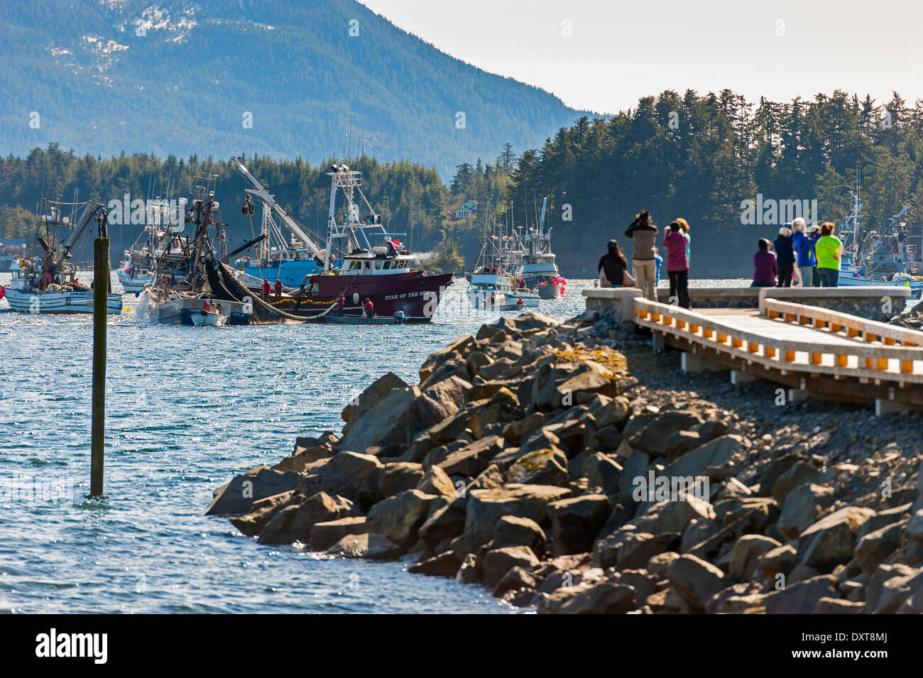 Sitka, Alaska. 29 mars 2014 Sitka, en Alaska. 29 mars 2014 spectateurs regardant la flotte de pêche commerciale à se bousculer pour pendant un sac du hareng rogué ouverture. Crédit : Jeffrey Wickett - RF/Alamy Live News Banque D'Images