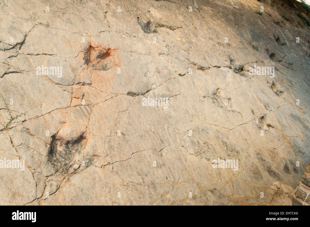 Traces de empreintes de dinosaures (ou ichnites) dans un rocher plat, anciennement le fond d'un lagon intérieur au site fossile de Cornago, la Rioja, Espagne. Banque D'Images