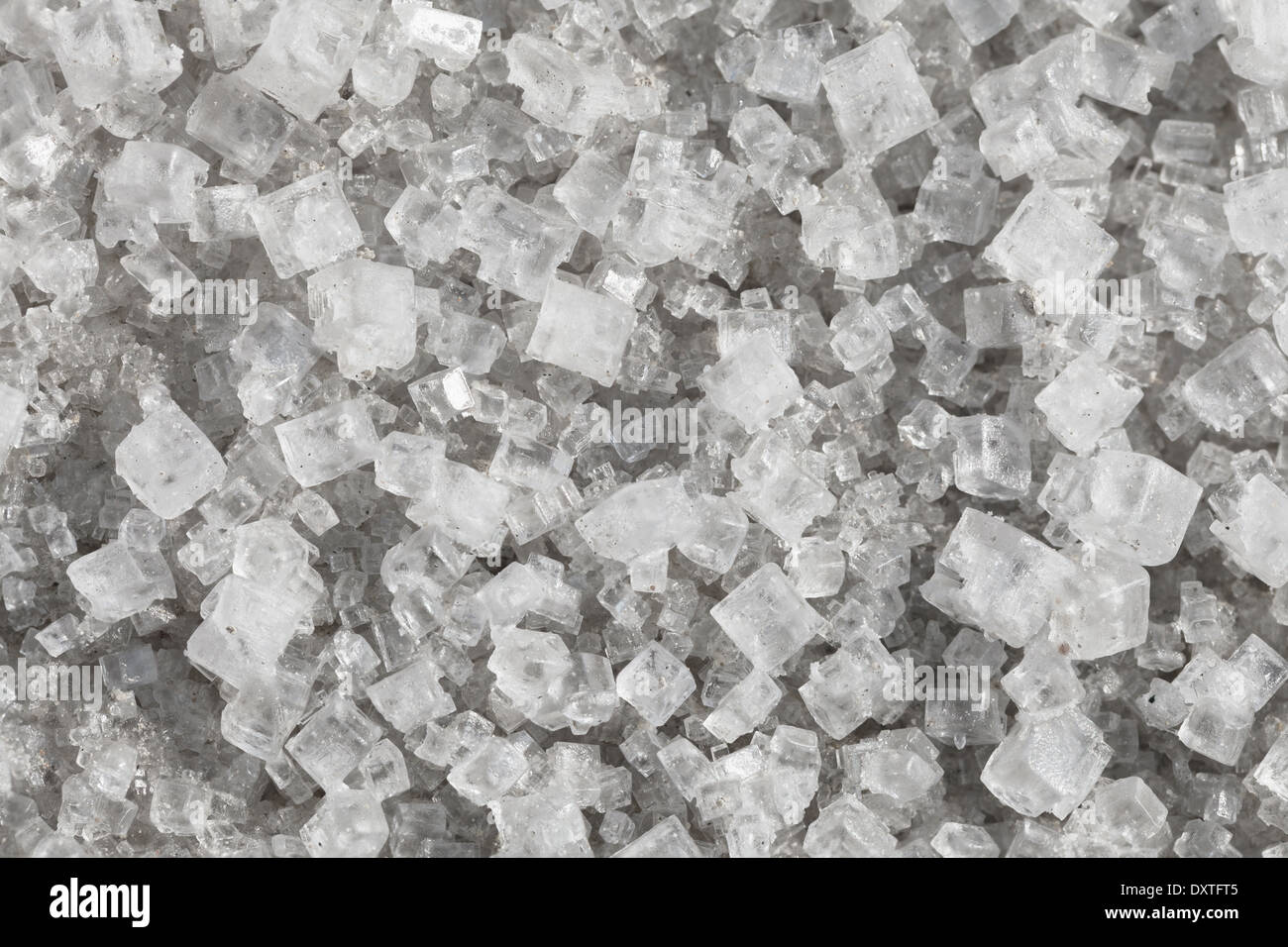 De gros cristaux de chlorure de sodium - macro Banque D'Images
