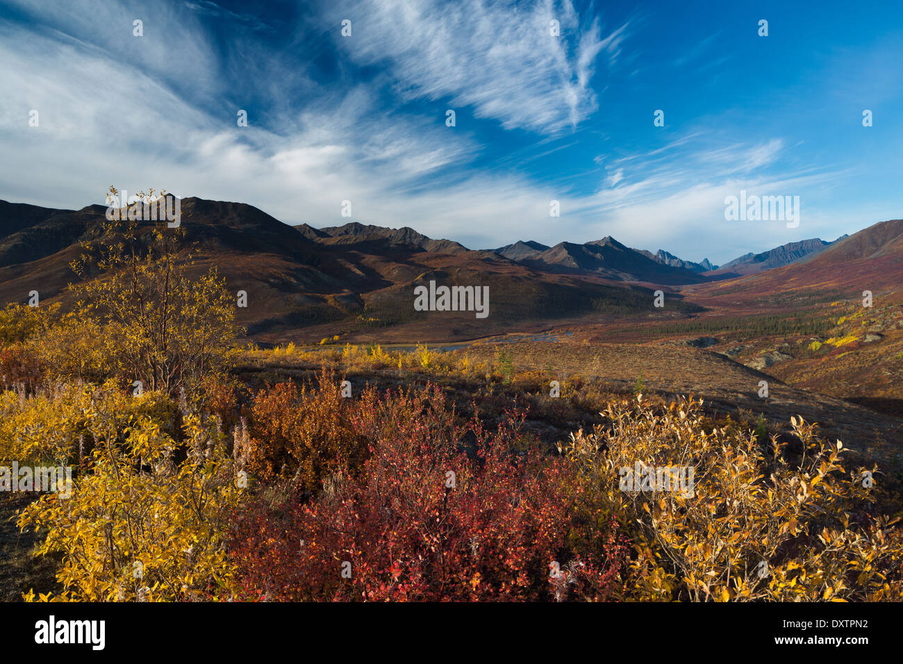 Col de Tombstone et la haute vallée de la rivière Klondike Nord à l'automne, le parc territorial Tombstone, Yukon, Canada Banque D'Images