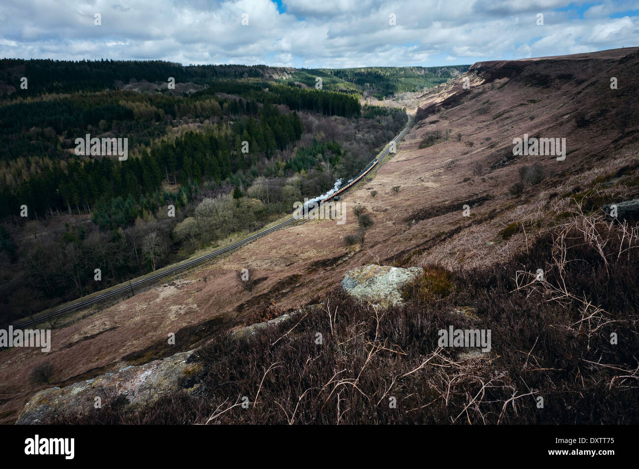 Un train à vapeur d'époque fait son chemin dans le North York Moors National Park près de Goathland, Yorkshire, UK. Banque D'Images