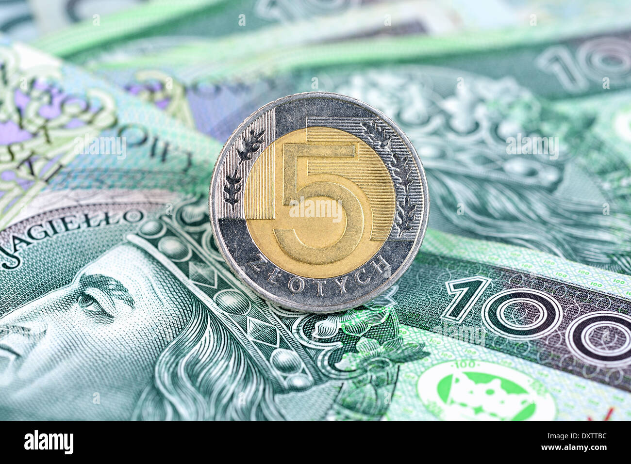 Polish zloty pièce sur une centaine de projets Banque D'Images