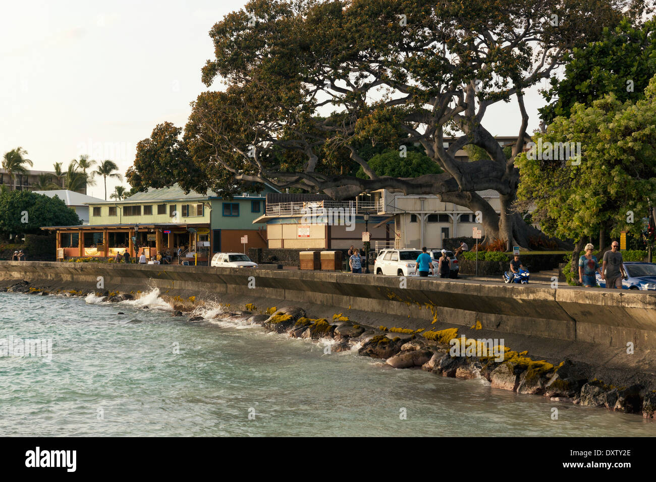 Royal Kona Resort ; Kona, île de Hawaii, Hawaii, United States of America Banque D'Images