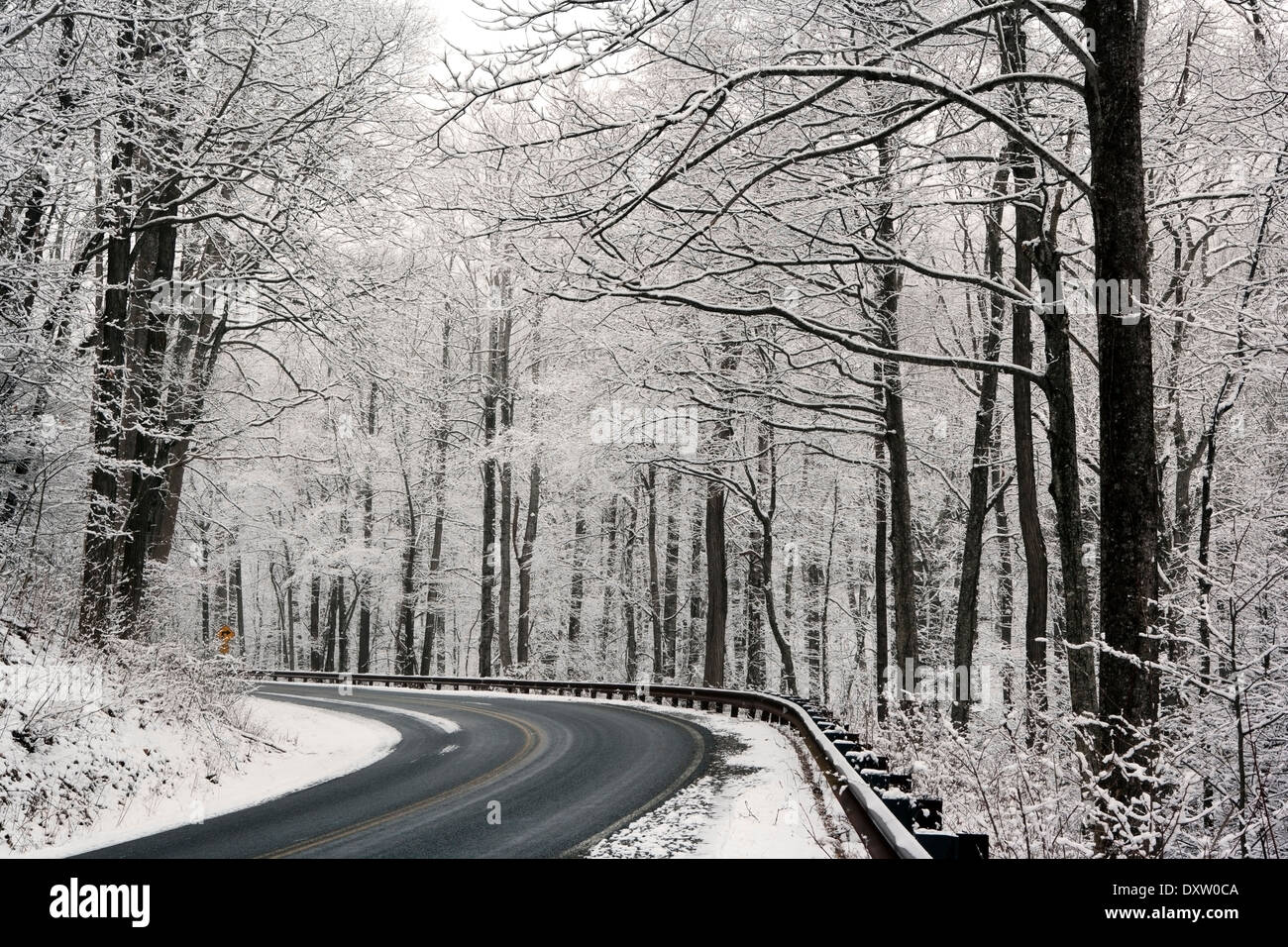 Route à travers la forêt nationale de Pisgah en hiver - près de Brevard, North Carolina USA Banque D'Images