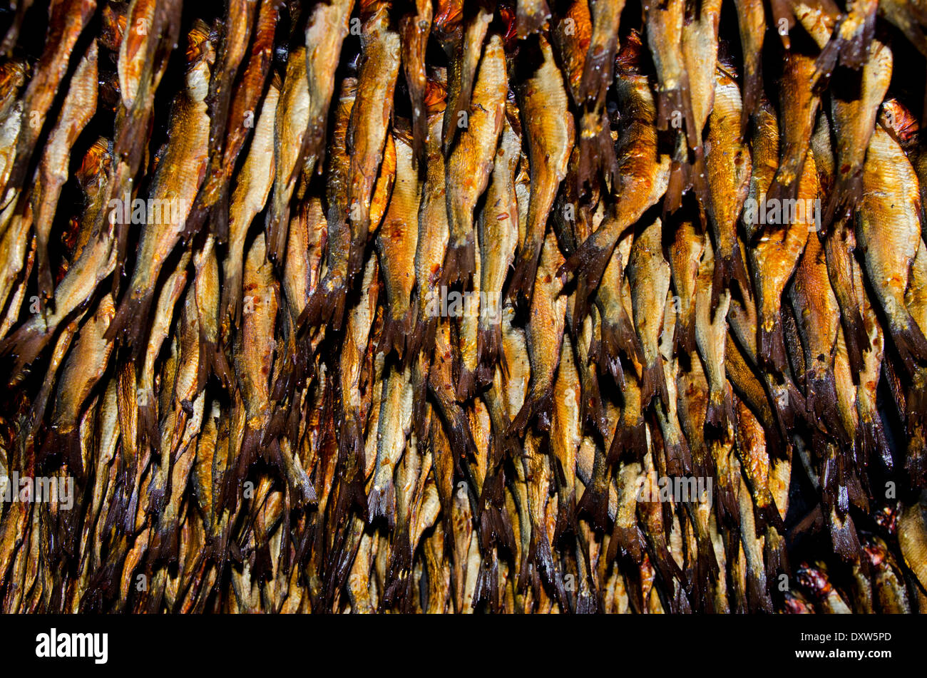 Canada, Québec, golfe du Saint-Laurent, îles de la Madeleine. Smokehouse, Lieu historique national et musée de la pêche. Banque D'Images
