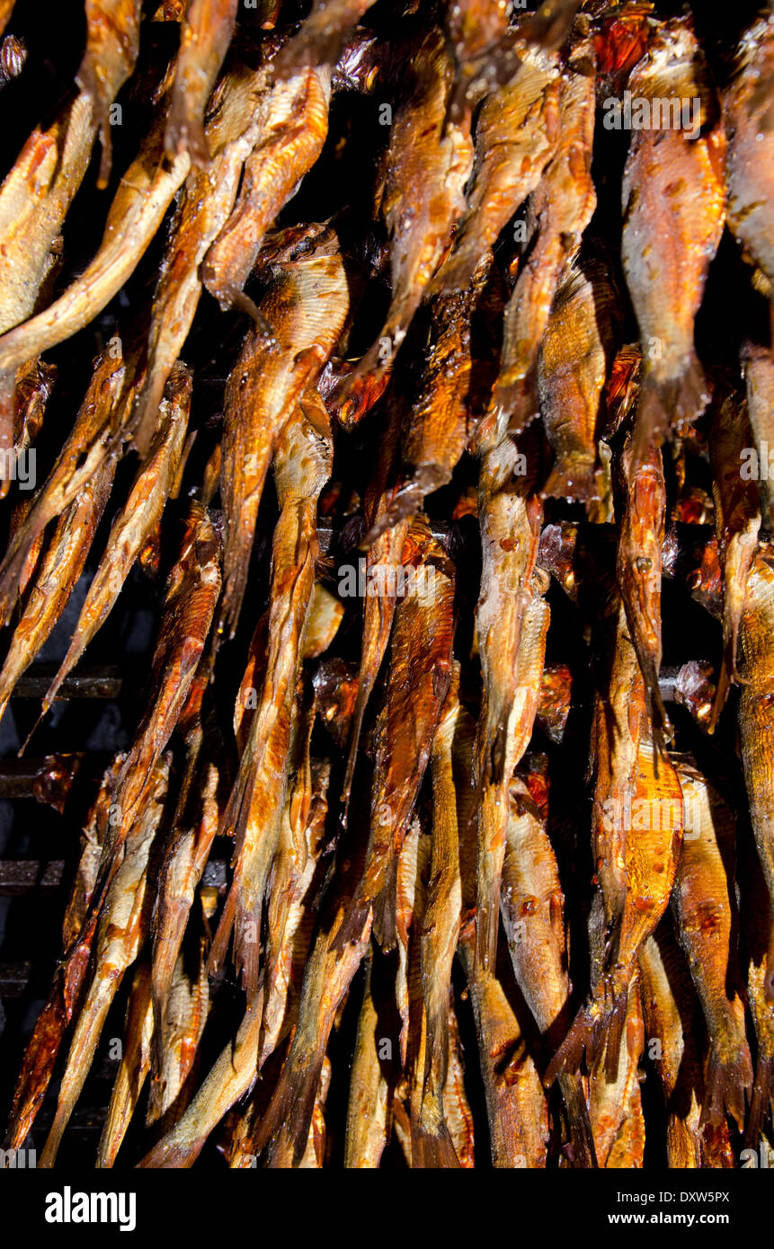 Canada, Québec, golfe du Saint-Laurent, îles de la Madeleine. Smokehouse, Lieu historique national et musée de la pêche. Banque D'Images