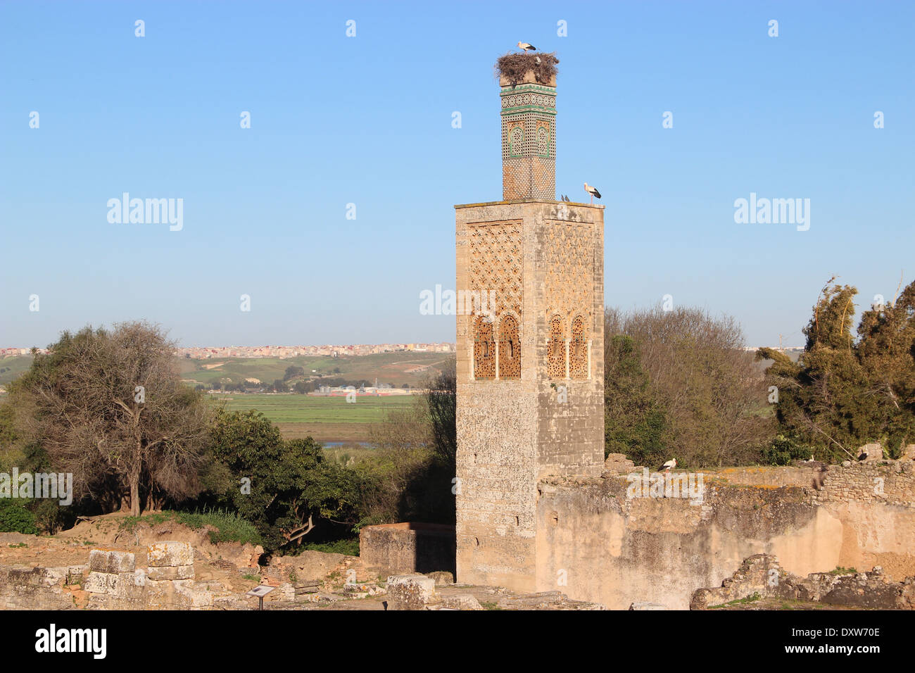 Minaret chellah avec cigognes et d'une vue sur la ville de salé à Rabat Maroc Banque D'Images