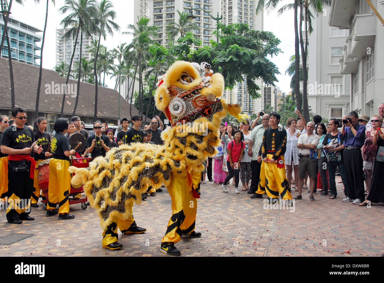 Danse du lion chinois sur le Nouvel An chinois dans la plage de Waikiki à Honolulu, l'île d'Oahu, dans l'état de New York Banque D'Images