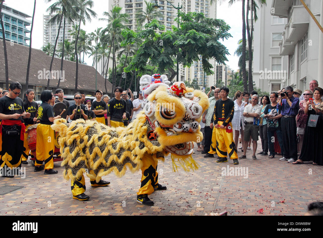 Danse du lion chinois sur le Nouvel An chinois dans la plage de Waikiki à Honolulu, l'île d'Oahu, dans l'état de New York Banque D'Images