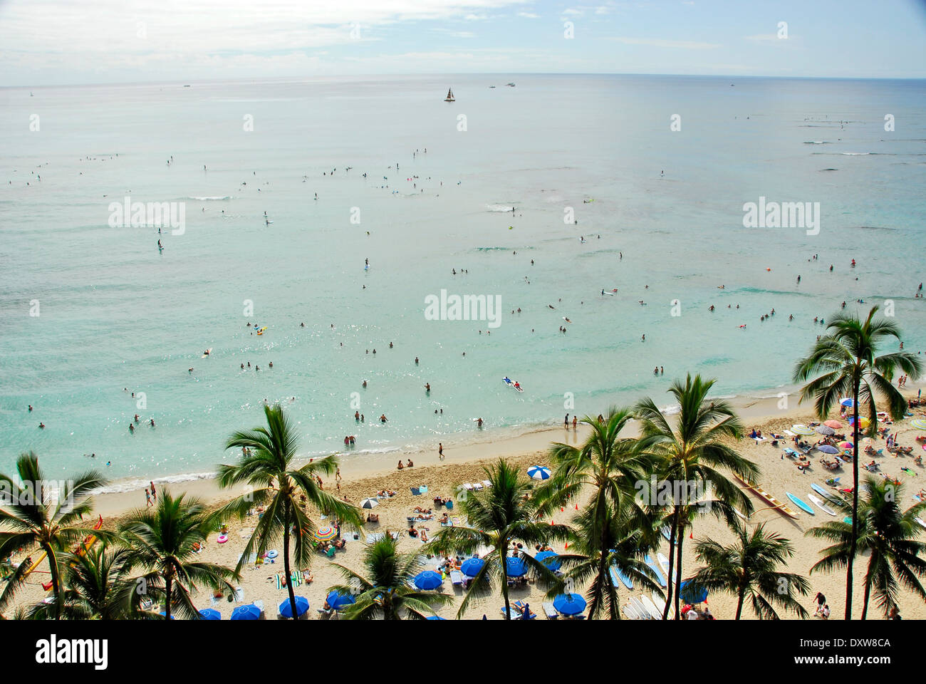 La plage de Waikiki à Honolulu, l'île d'Oahu, dans l'état de New York Banque D'Images