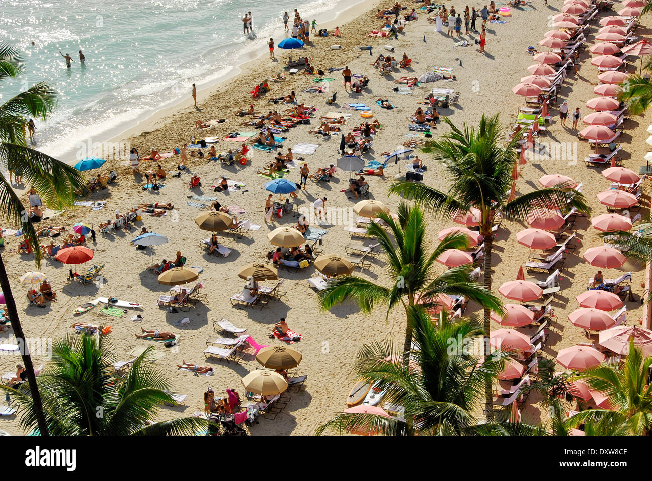 La plage de Waikiki à Honolulu, l'île d'Oahu, dans l'état de New York Banque D'Images