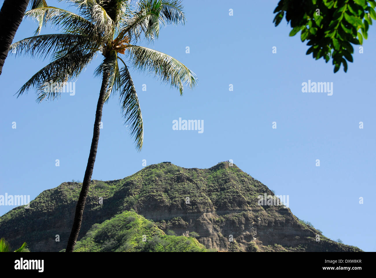 Vue de la couronne de la Tête du diamant dans la plage de Waikiki à Honolulu, l'île d'Oahu, dans l'état de New York Banque D'Images