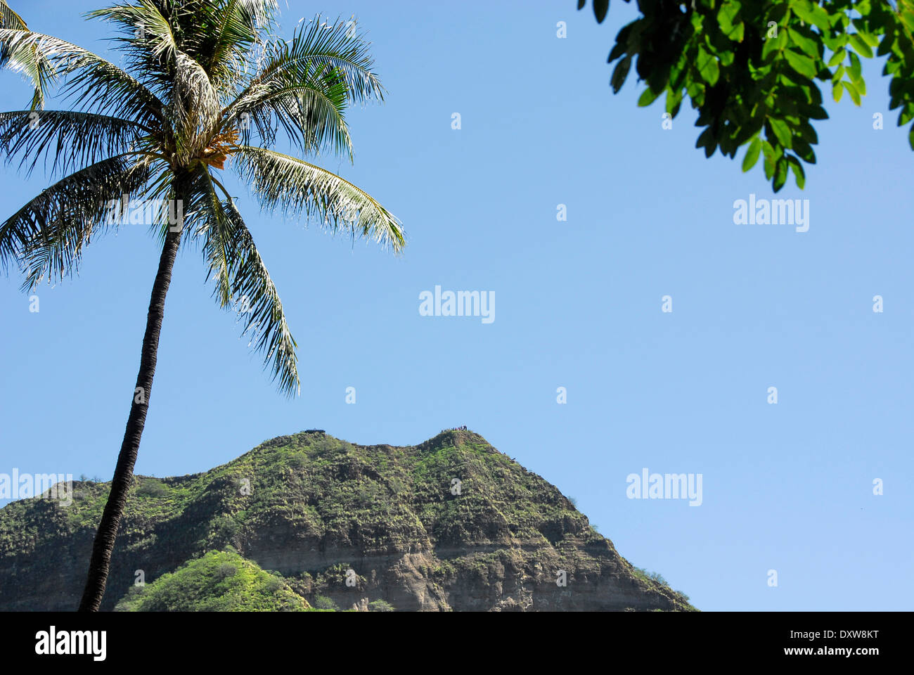 Vue de la couronne de la Tête du diamant dans la plage de Waikiki à Honolulu, l'île d'Oahu, dans l'état de New York Banque D'Images