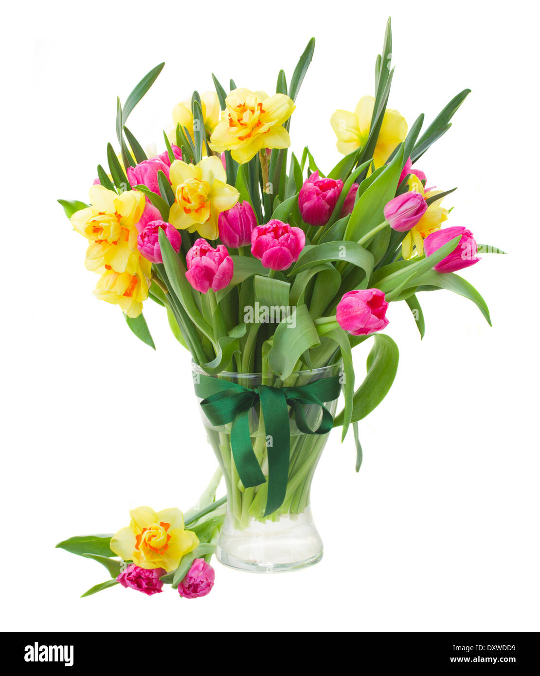 Bouquet de tulipes roses et jonquilles en vase jaune isolé sur fond blanc Banque D'Images