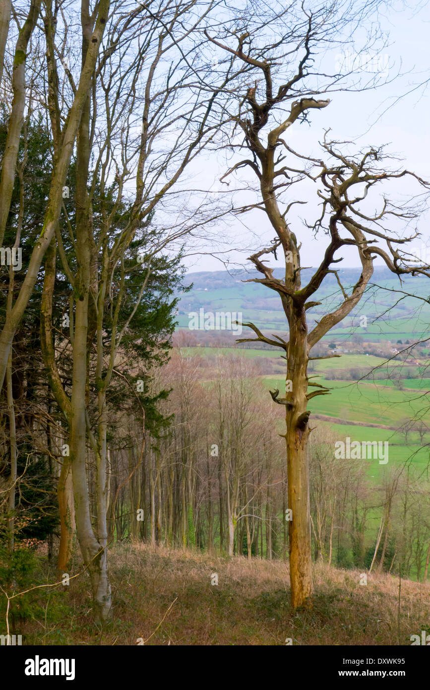 Vue panoramique de Gaer Fawr près de Usk dans Monmouthshire, dans le sud du Pays de Galles, Royaume-Uni. Banque D'Images
