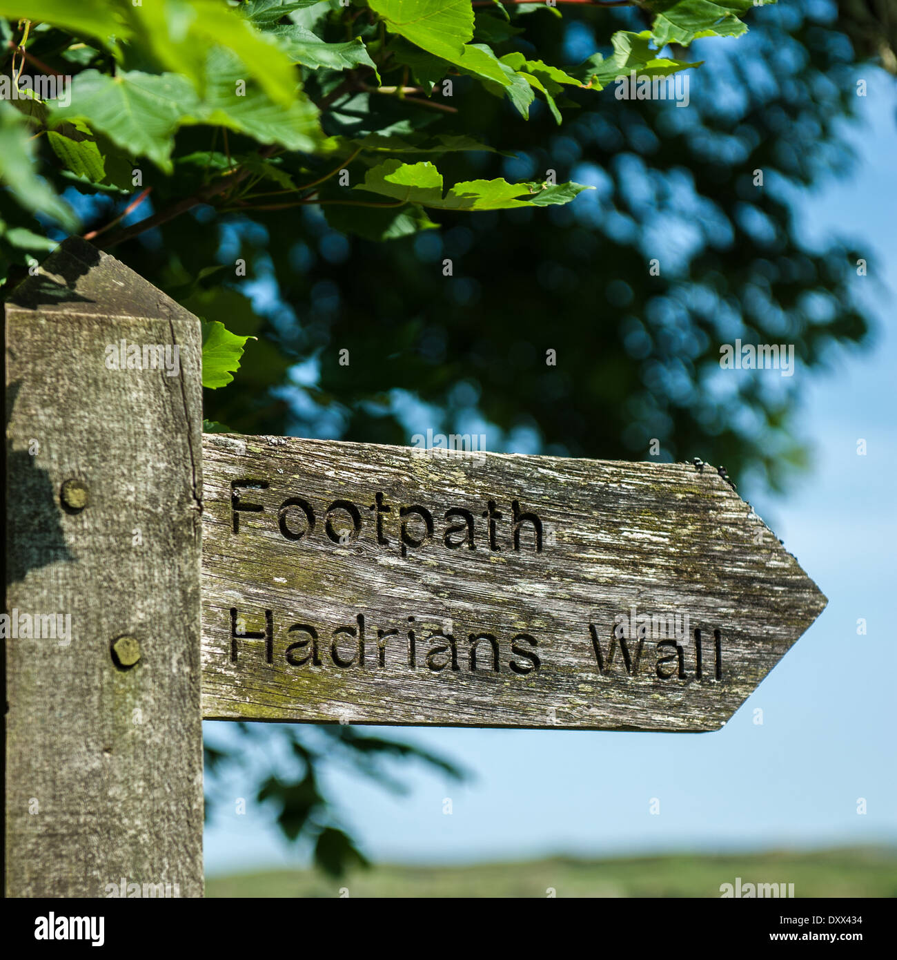 Un signe post le mur d'Hadrien dans le Nord de l'Angleterre Banque D'Images