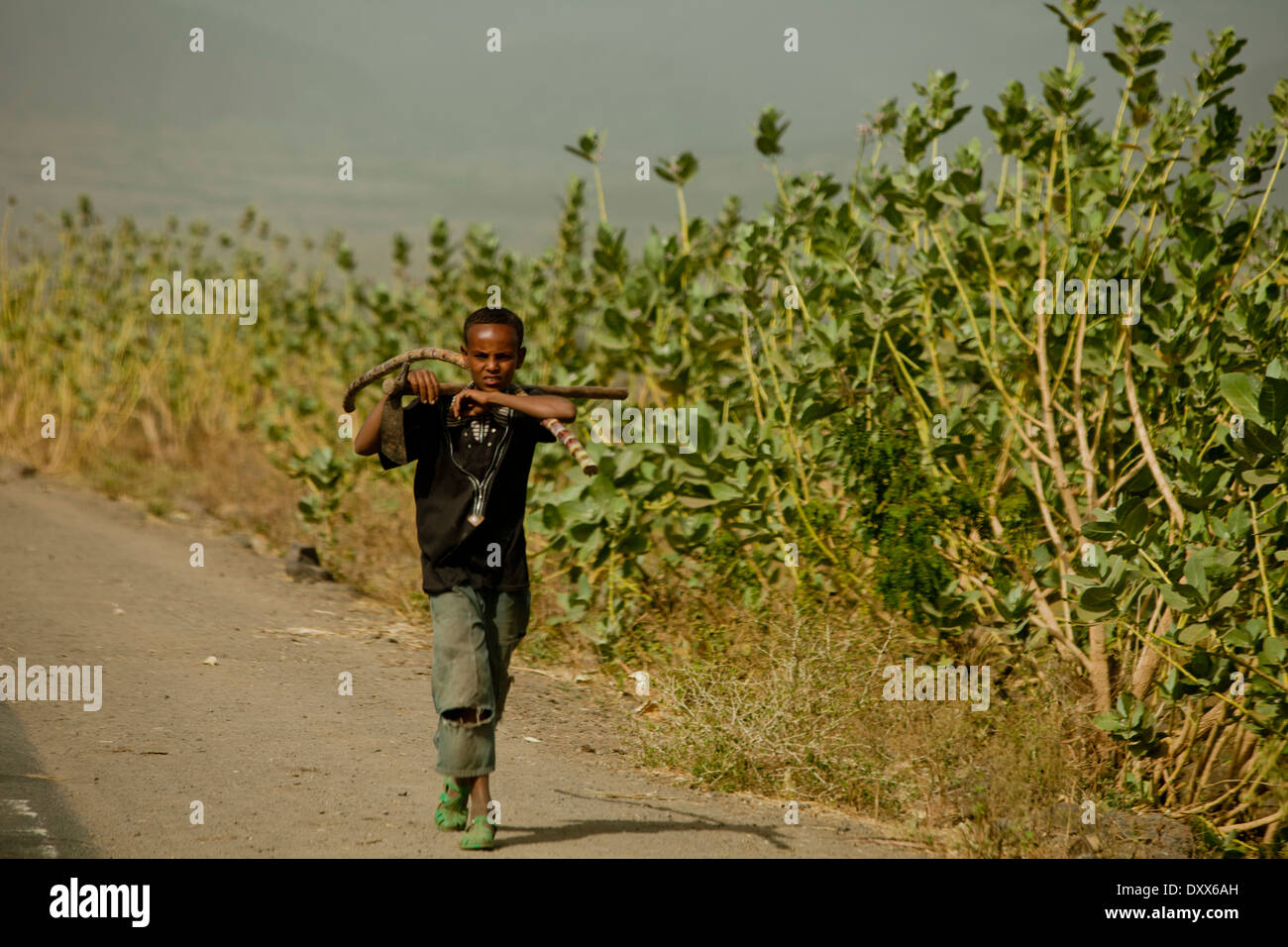 African Boy marcher sur le côté de la route de l'Éthiopie poussiéreux Banque D'Images