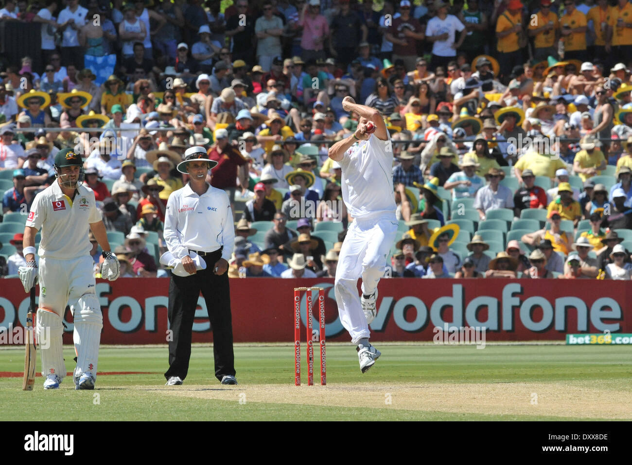 Morne Morkel Australie contre. L'Afrique du sud de Cricket a tenu à Adelaide Adelaide Australie - 24.11.12 comprend : Morne Morkel Où : United States Quand : 24 Nov 2012 Banque D'Images