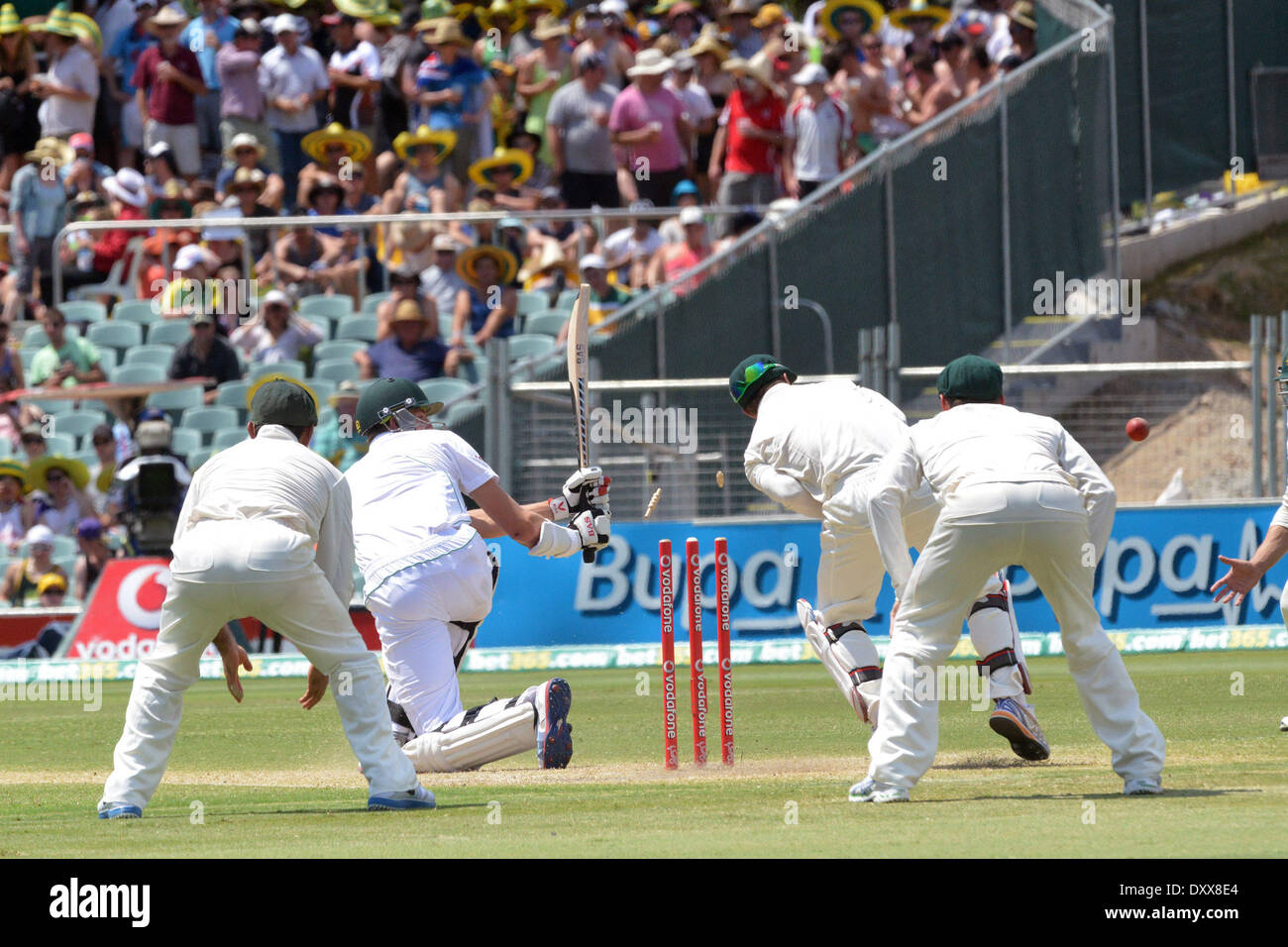 Morne Morkel Australie contre. L'Afrique du sud de Cricket a tenu à Adelaide Adelaide Australie - 24.11.12 comprend : Morne Morkel Où : United States Quand : 24 Nov 2012 Banque D'Images