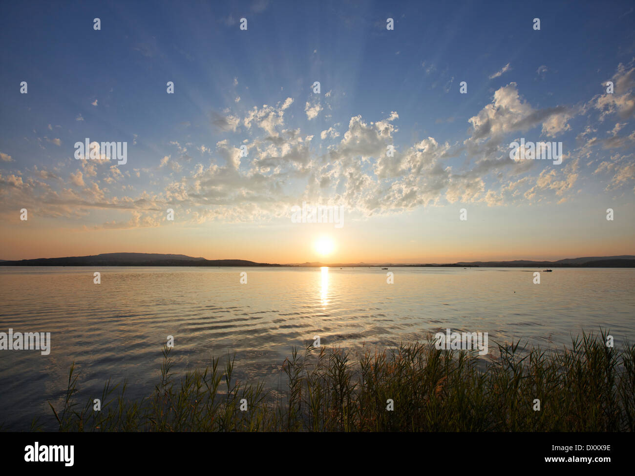 Allemagne, Lac de Constance, Reichenau l'Islande, Coucher de soleil, Deutschland, Bodensee, l'île de Reichenau, Sonnenuntergang Banque D'Images