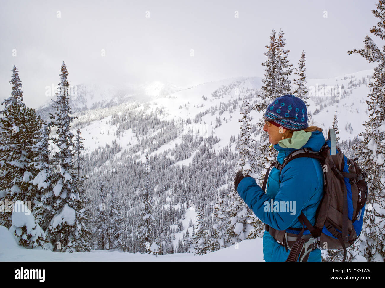 Femme de l'arrière-pays nord de la chaîne des Cascades, skieur, Washington, USA Banque D'Images