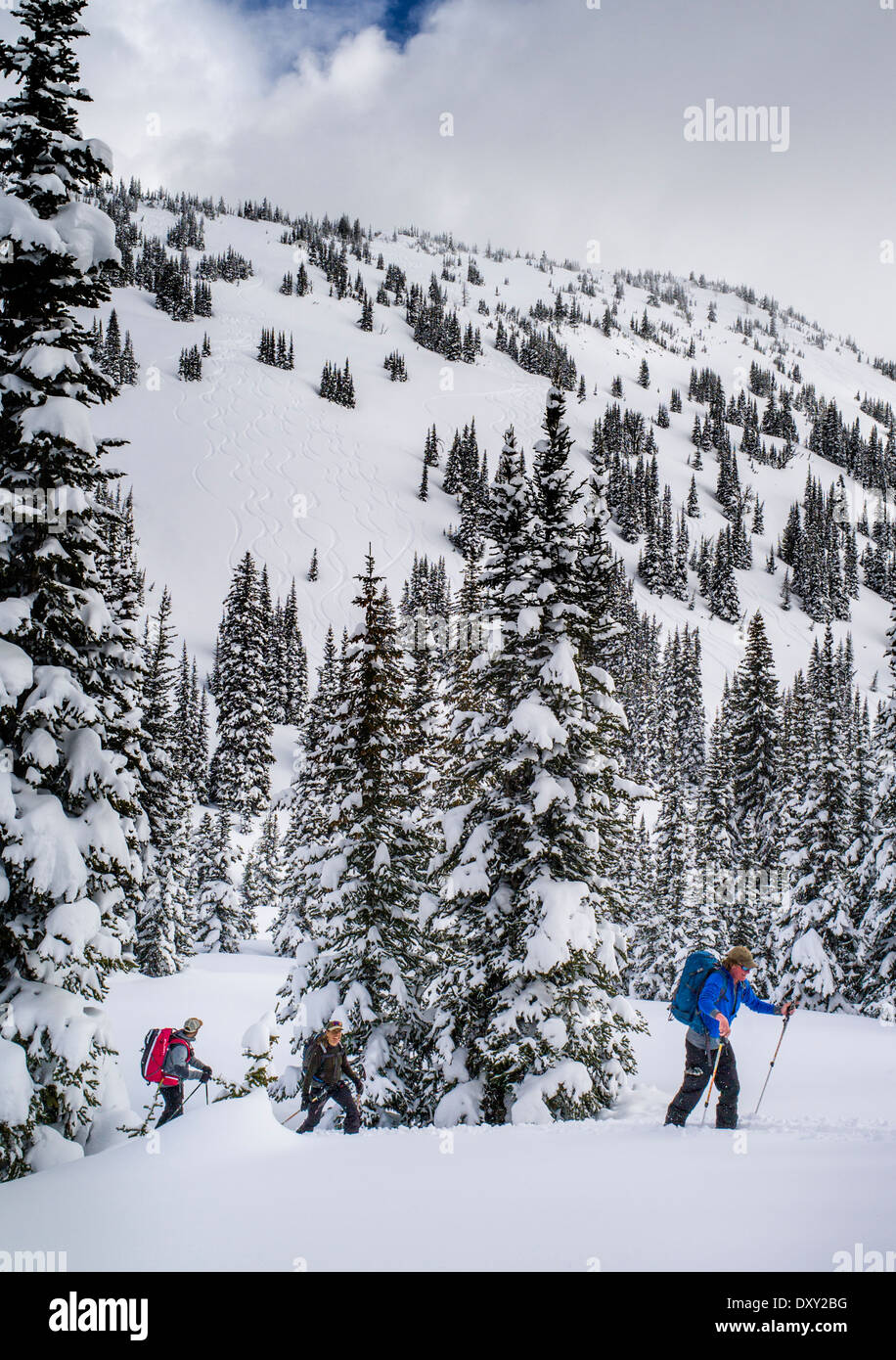 Les Skieurs de retour sur les skis peaux synthétiques pour l'escalade artificielle, North Cascades, Washington, USA Banque D'Images