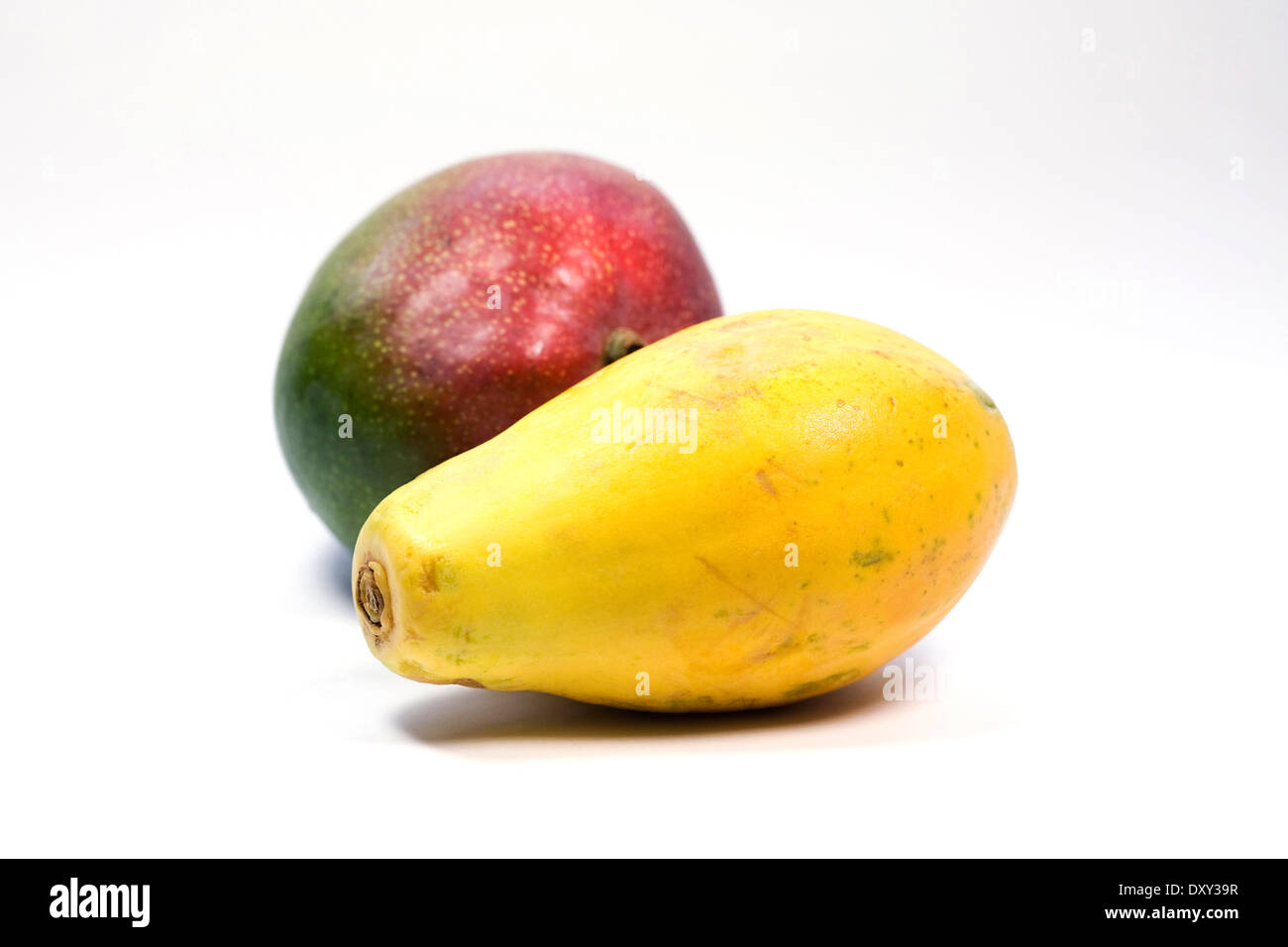 Mangue et papaye Carica portrait. Ensemble de la mangue et papaye fruit. Banque D'Images