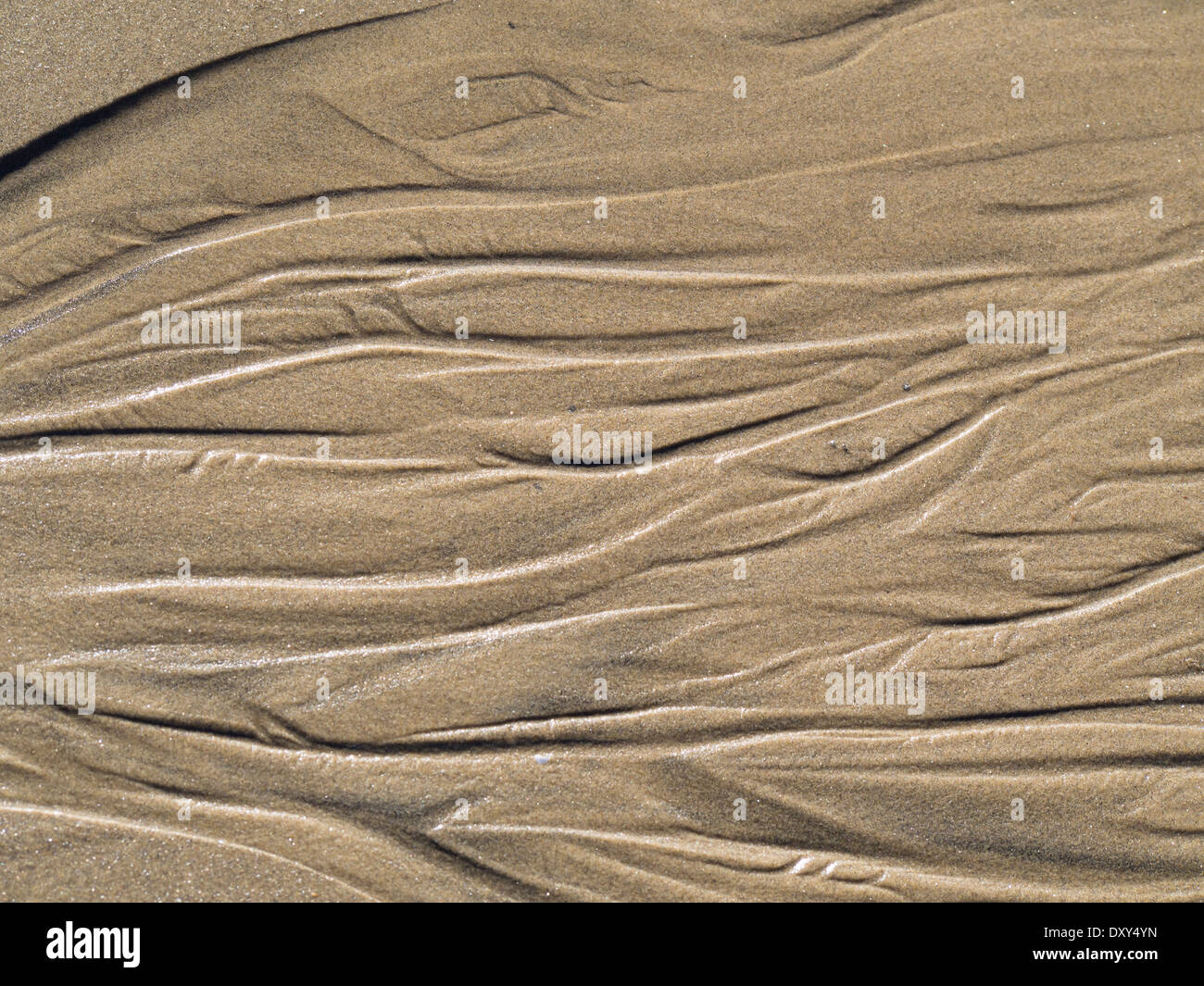 Grain fin, le sable de la plage sur la côte de la mer du Nord de la Norvège, près de lignes ondulées modèle faite par eau Banque D'Images