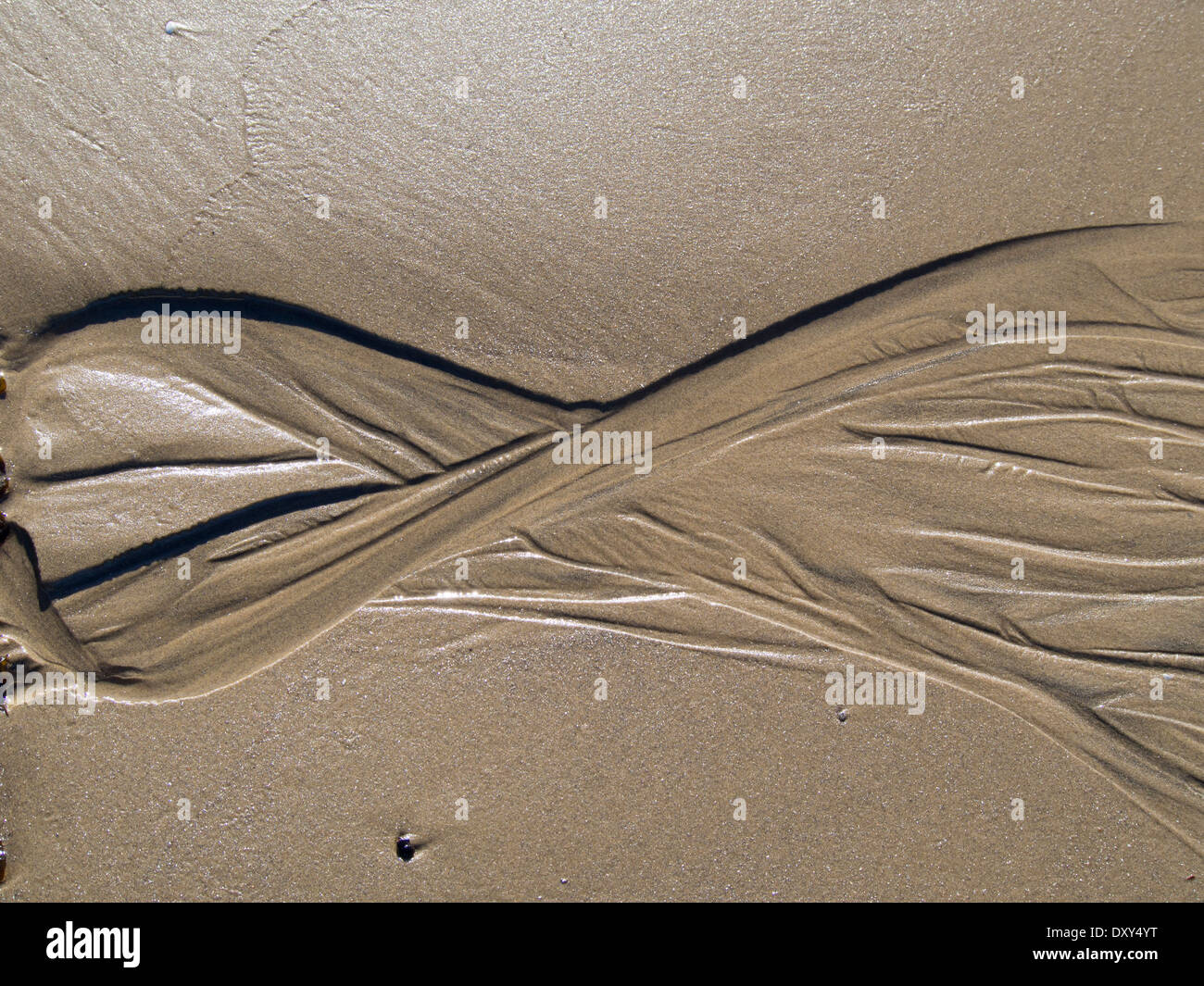 Grain fin, le sable de la plage sur la côte de la mer du Nord de la Norvège, près de l'infini par motif eau Banque D'Images